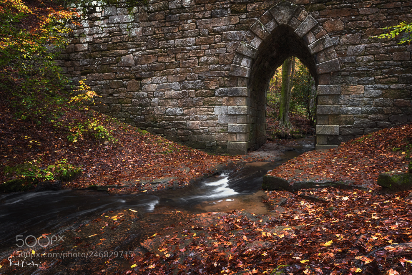 Nikon D810 sample photo. Poinsett bridge photography