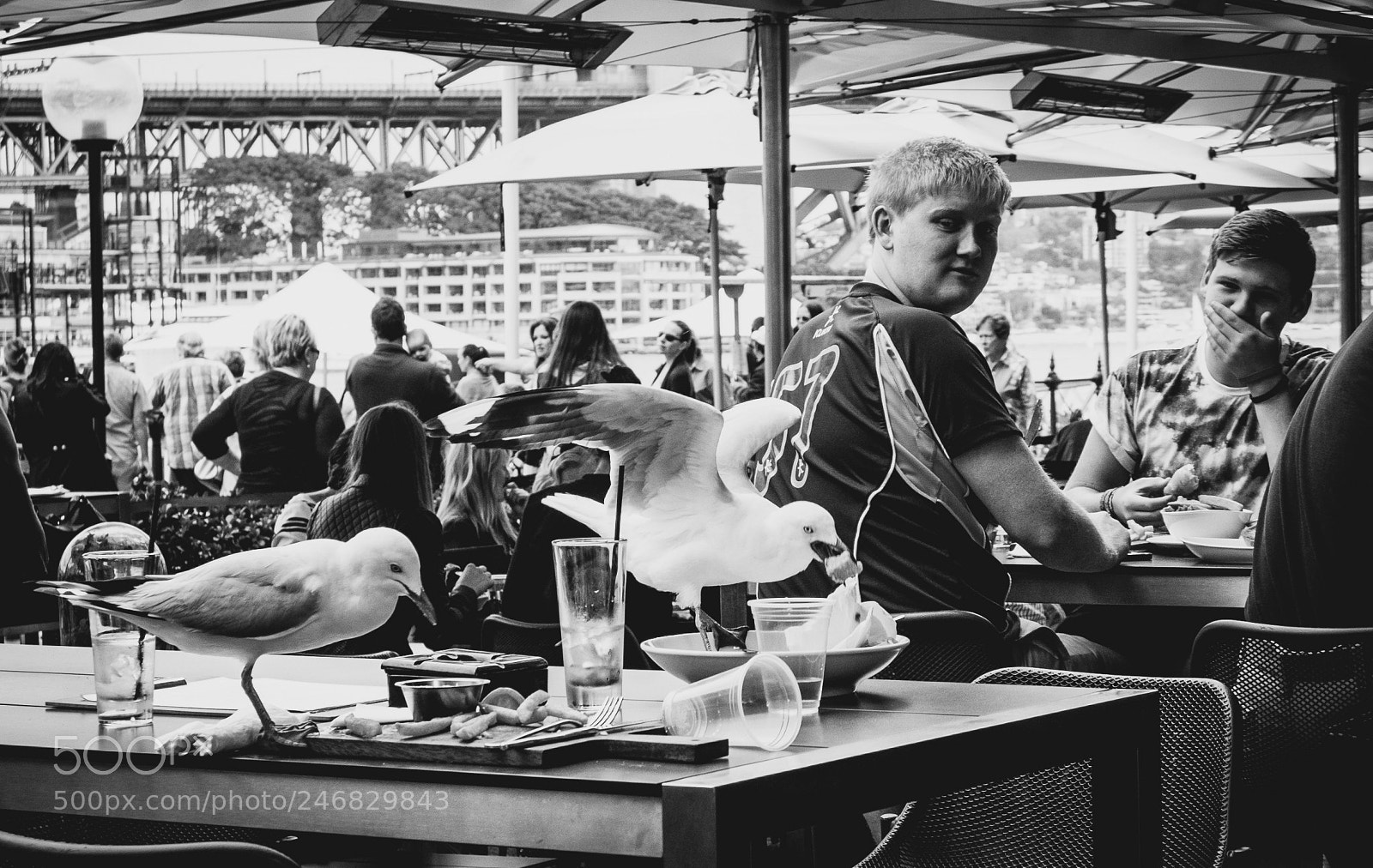 Fujifilm X10 sample photo. Sydney, australia (2014) photography