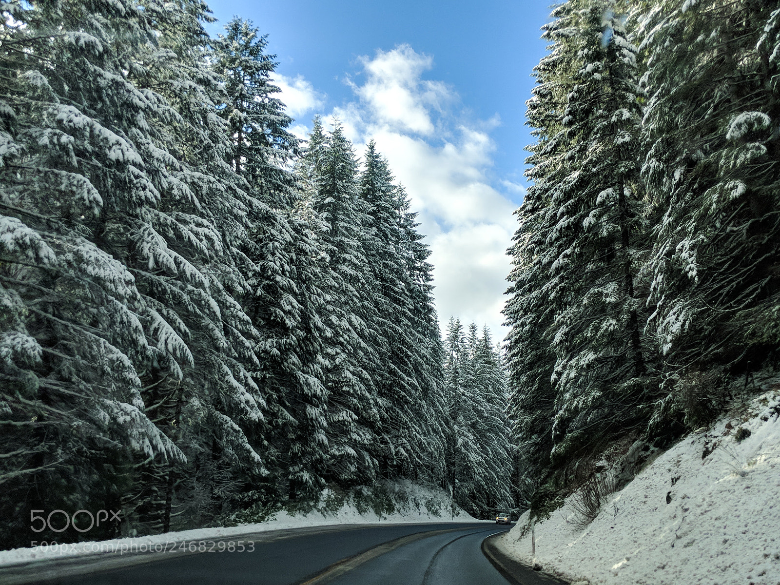 Google Pixel 2 sample photo. A beautiful drive photography