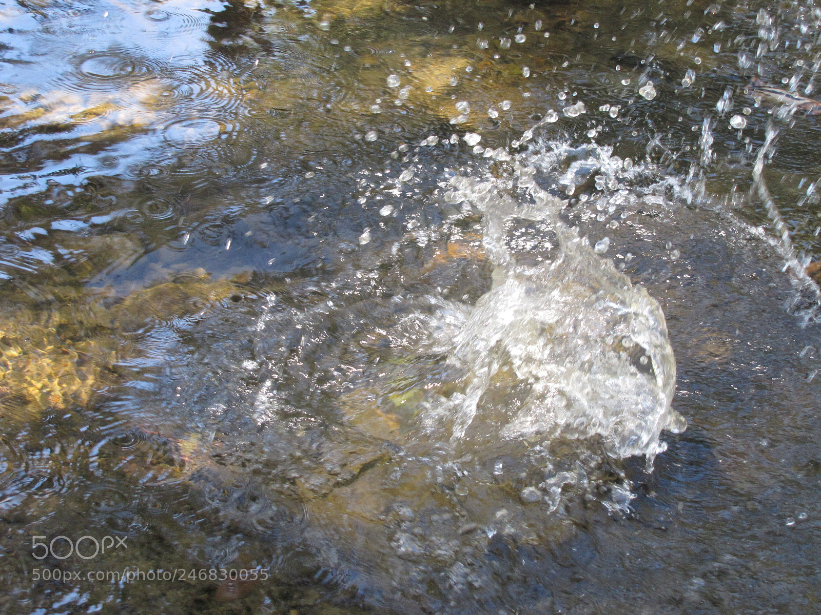 Canon PowerShot SX20 IS sample photo. Splash 2 photography
