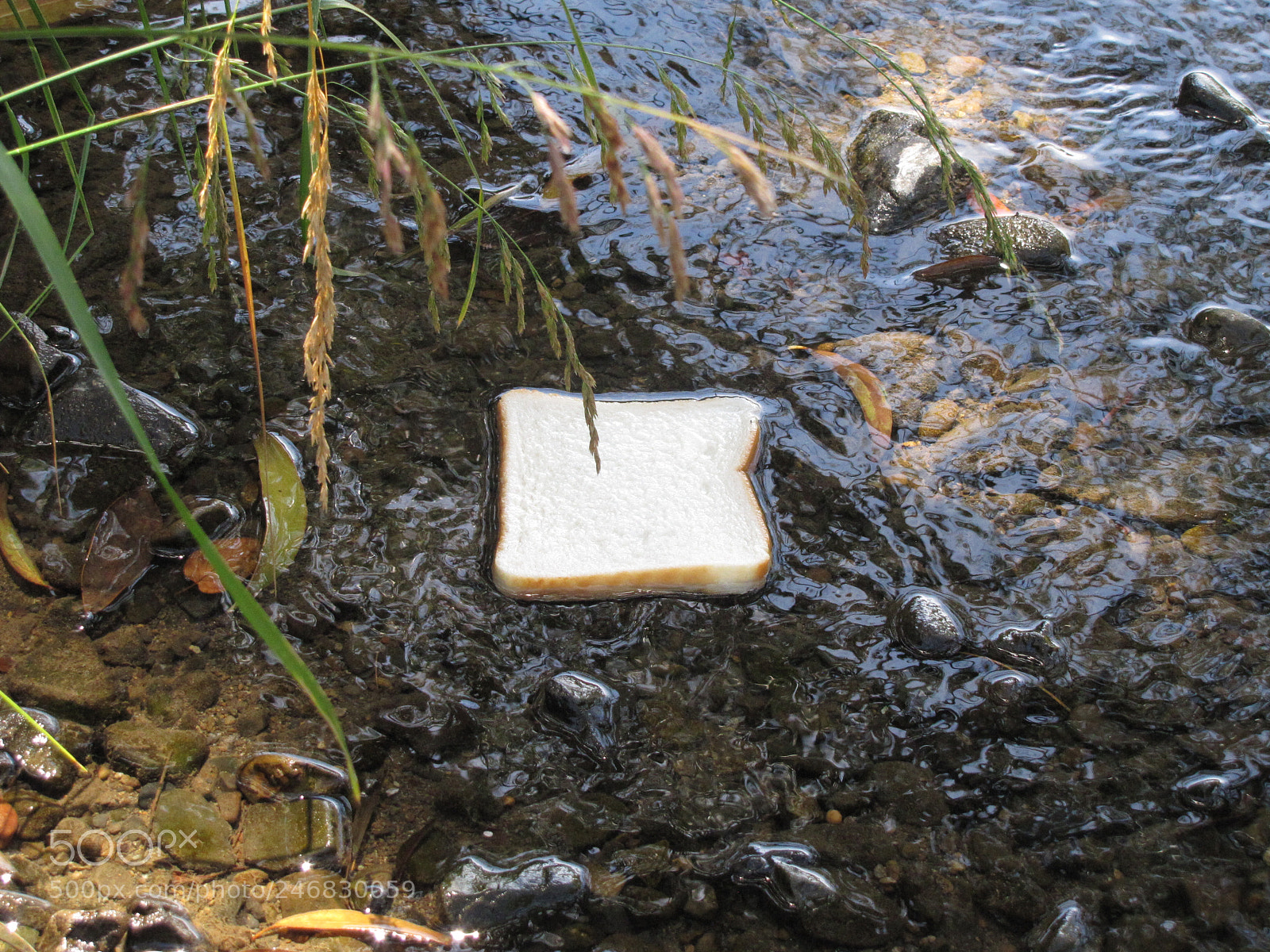 Canon PowerShot SX20 IS sample photo. Pollution photography