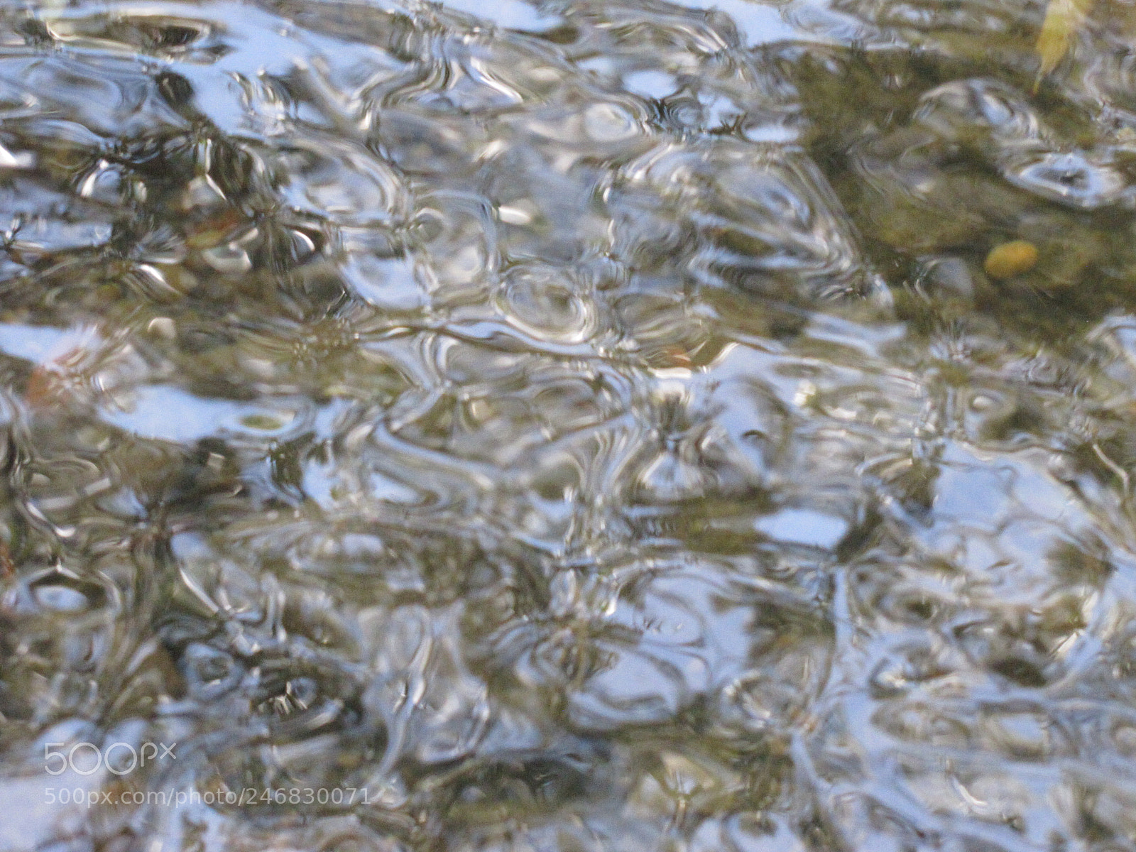 Canon PowerShot SX20 IS sample photo. Water in motion photography