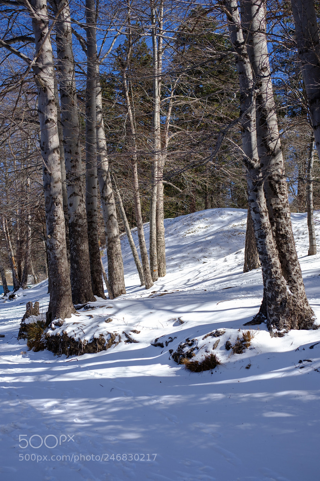 Fujifilm X-T2 sample photo. Lake gregory 0524 photography