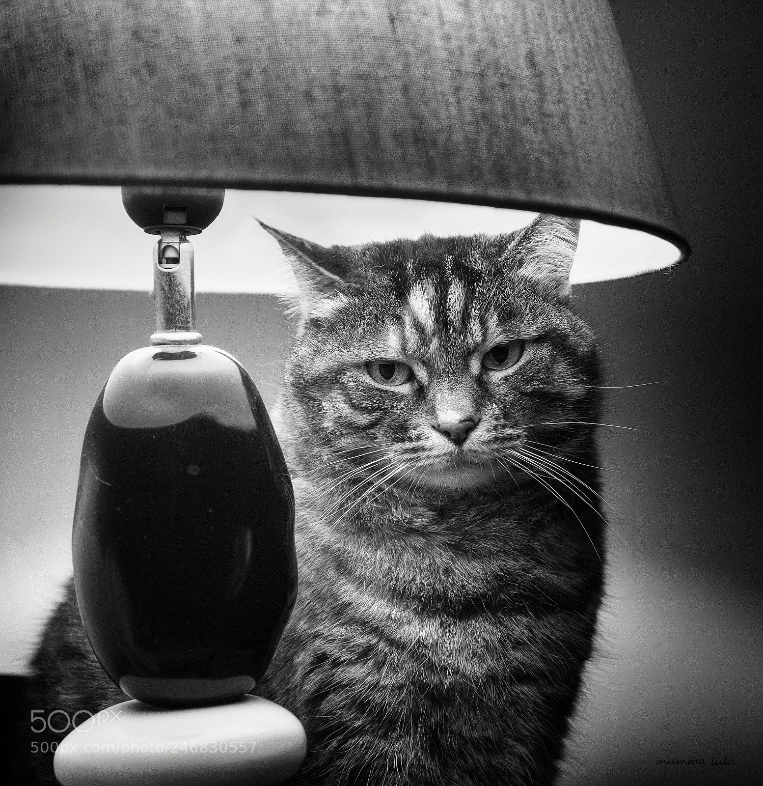 Canon EOS 60D sample photo. La lampada photography