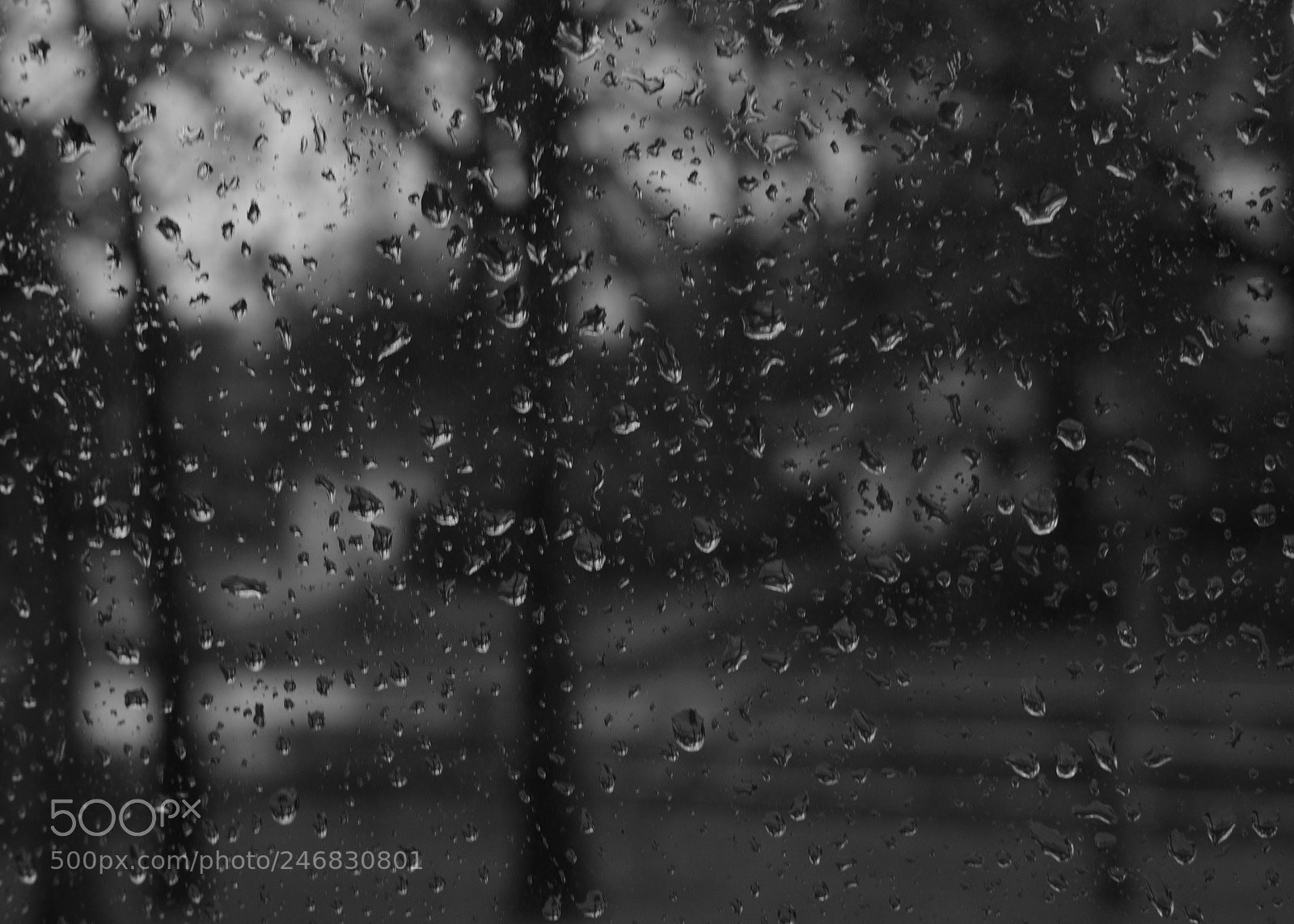 Sony Alpha a3500 sample photo. Untitled photography