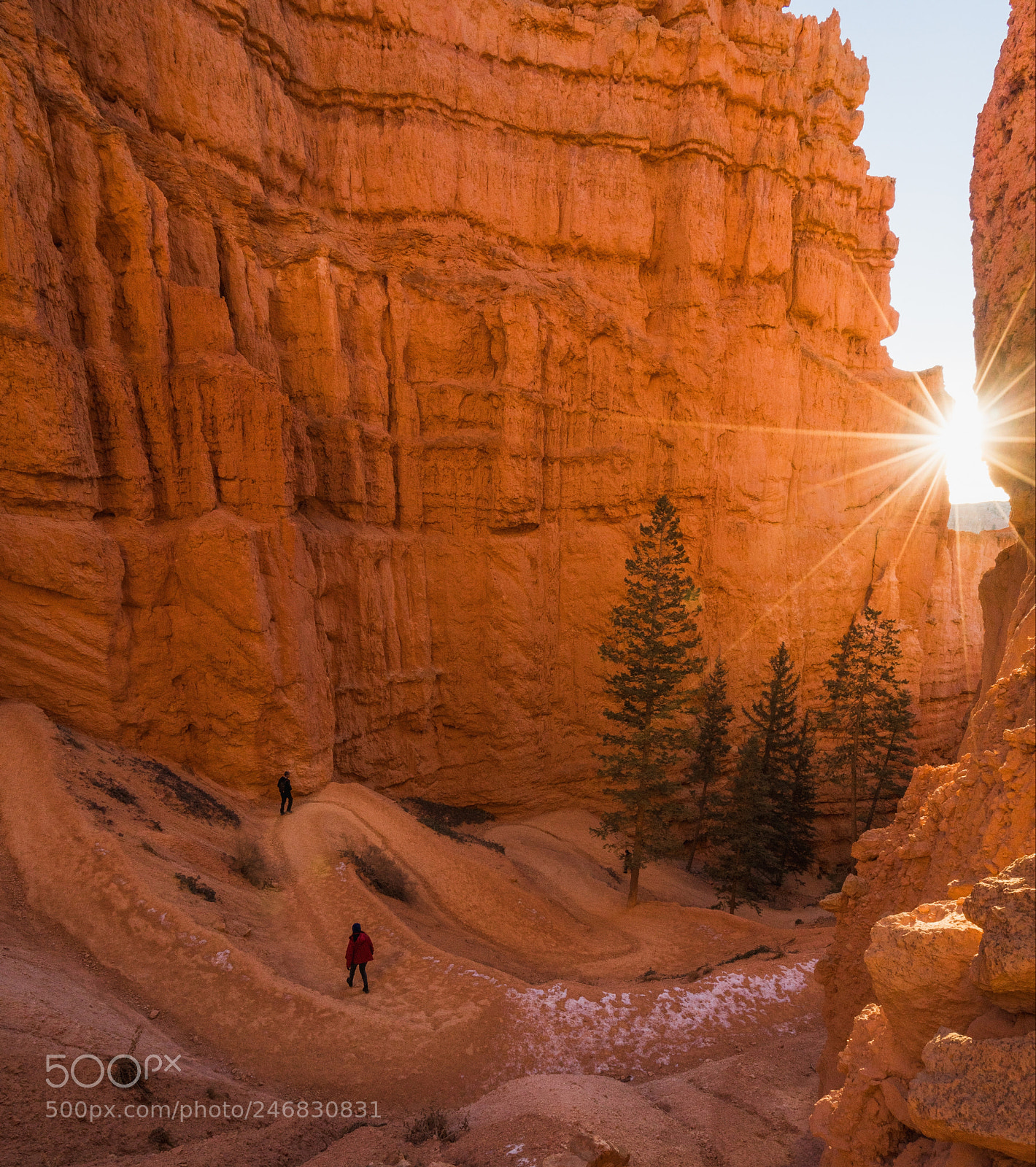 Sony a7R III sample photo. Bryce canyon wiggles photography