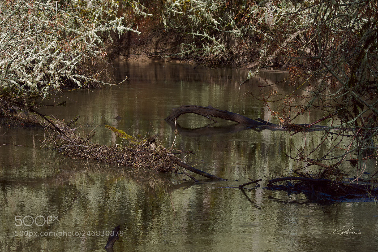 Nikon D7200 sample photo. Muddy creek photography