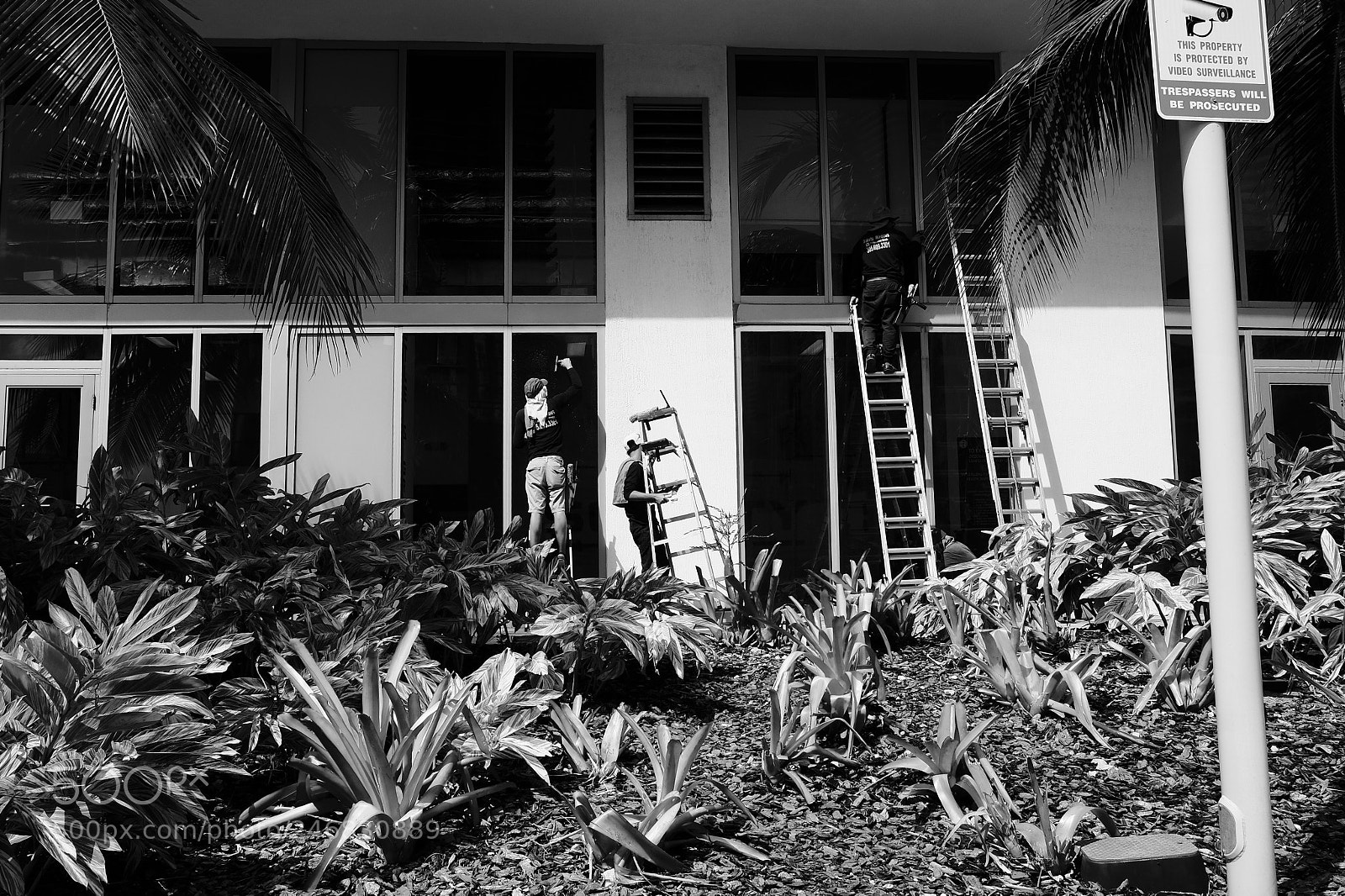 Fujifilm X-E2S sample photo. Shts and ladders photography