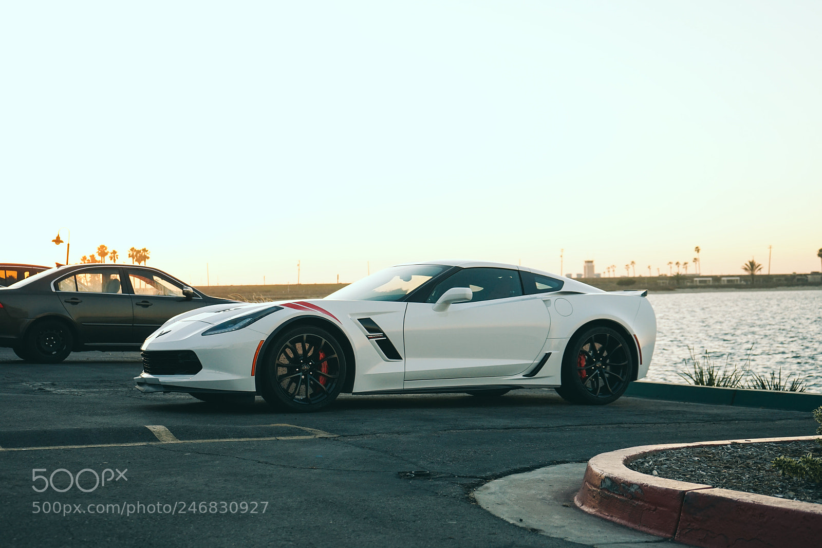 Sony a7 II sample photo. Corvette c7 photography