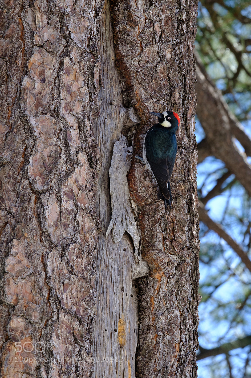 Fujifilm X-T2 sample photo. Lake gregory 0864 photography