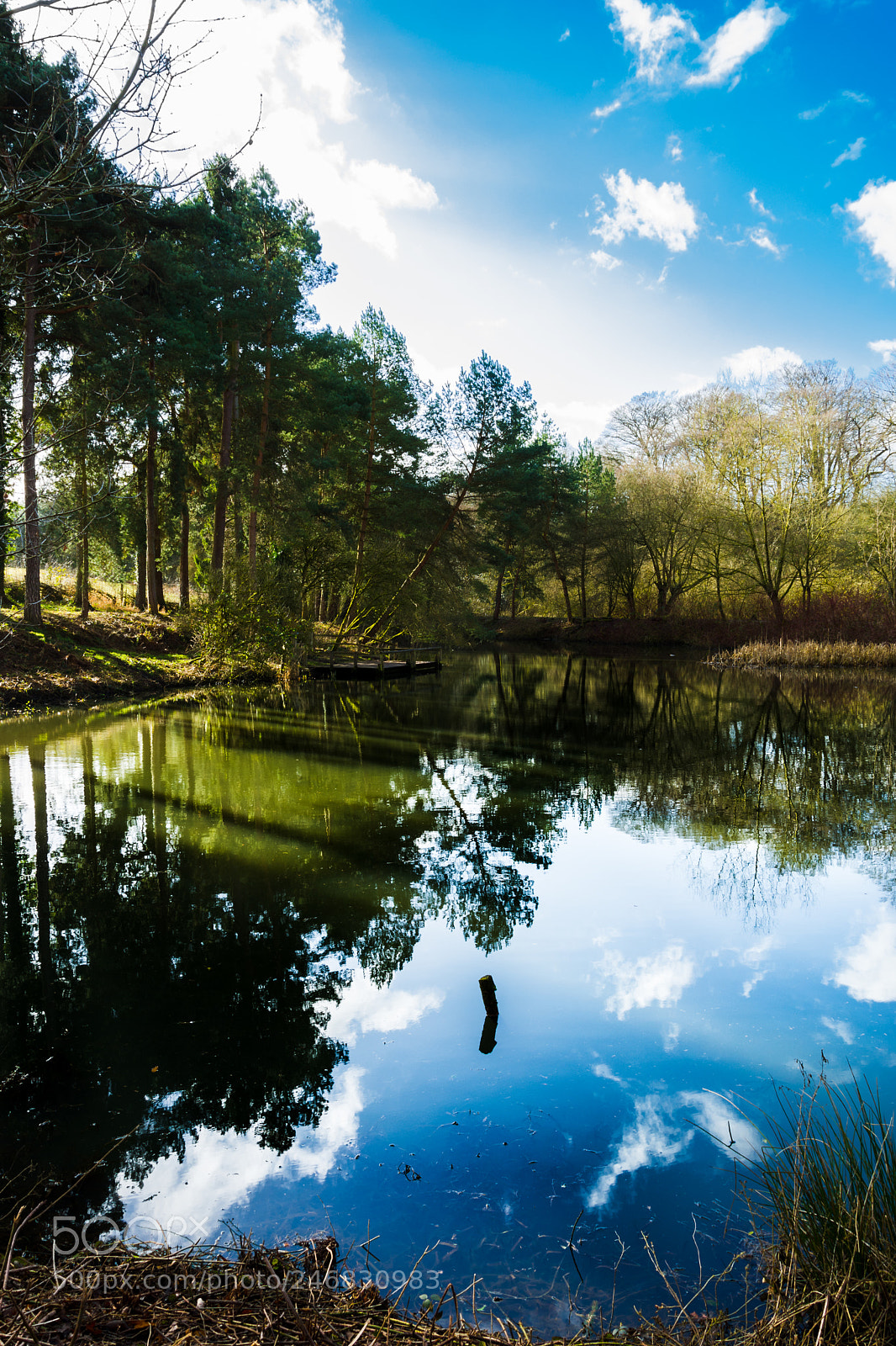 Nikon D7100 sample photo. As above so below photography