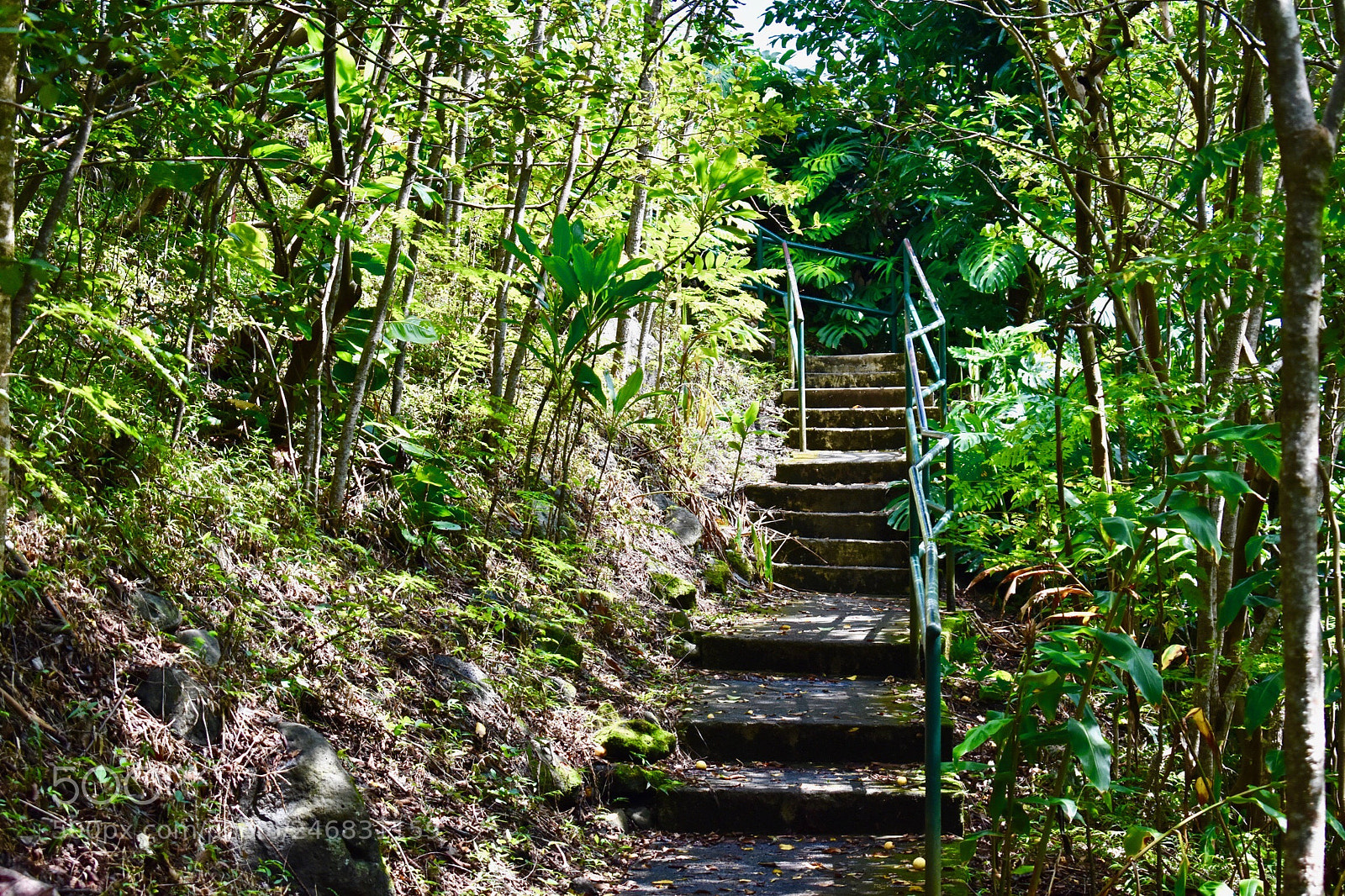 Nikon D3400 sample photo. Stairway to paradise photography