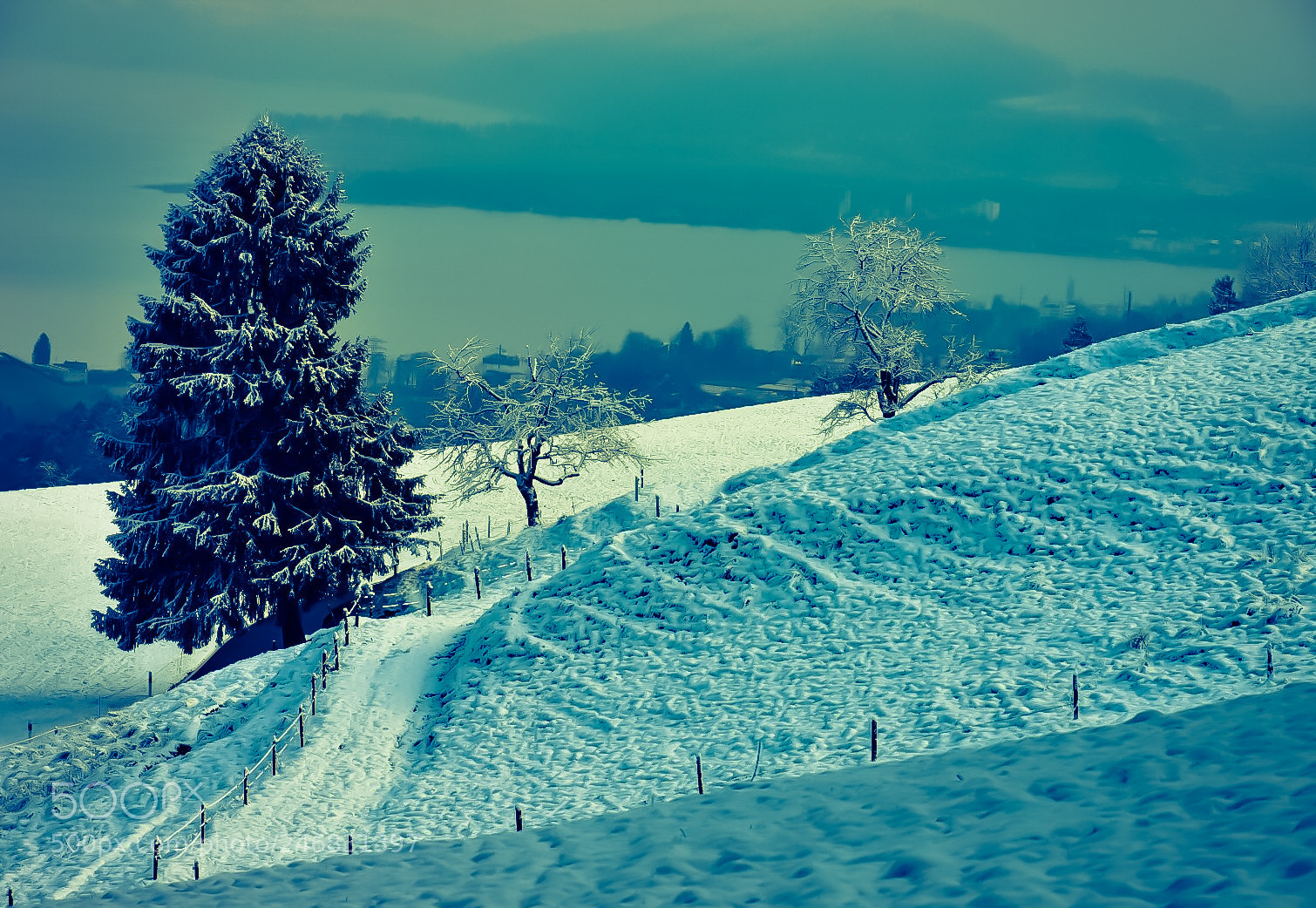 Nikon D7200 sample photo. My winter... photography