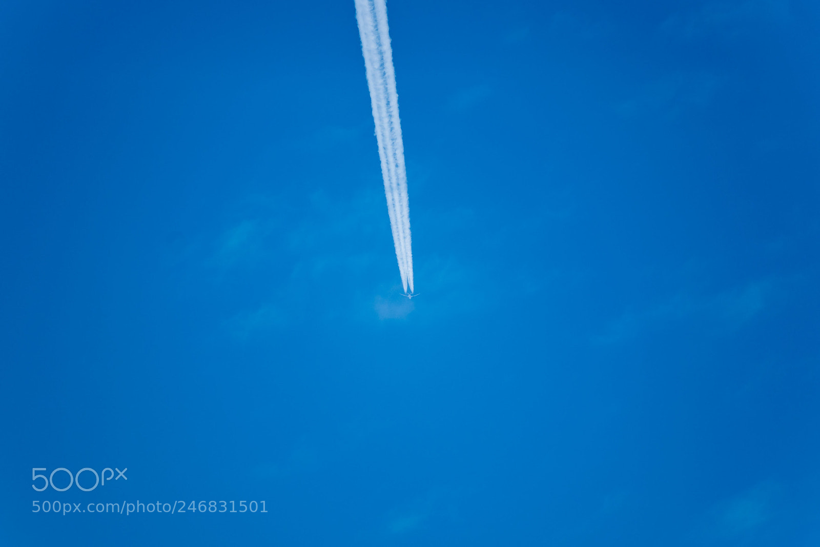 Nikon D5600 sample photo. Into the blue photography