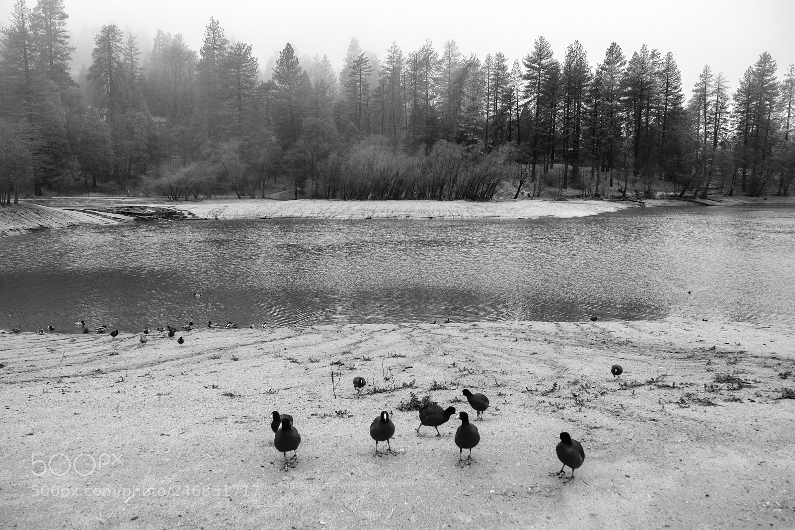 Fujifilm X-T2 sample photo. Lake gregory 8812 photography