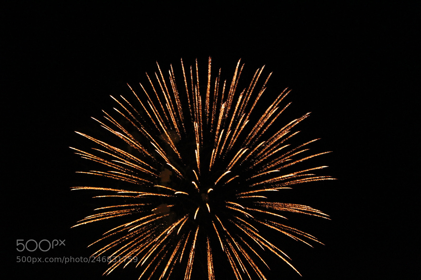 Canon EOS 1300D (EOS Rebel T6 / EOS Kiss X80) sample photo. Dandelion fireworks photography