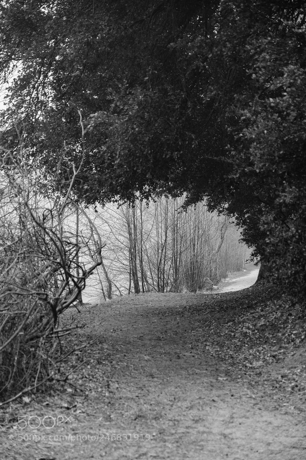 Fujifilm X-T2 sample photo. Lake gregory 9509 photography