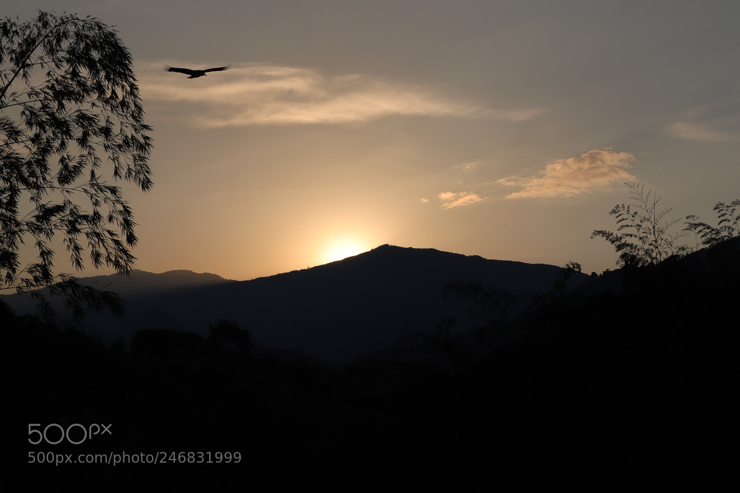 Canon EOS 800D (EOS Rebel T7i / EOS Kiss X9i) sample photo. Dominando los cielos photography