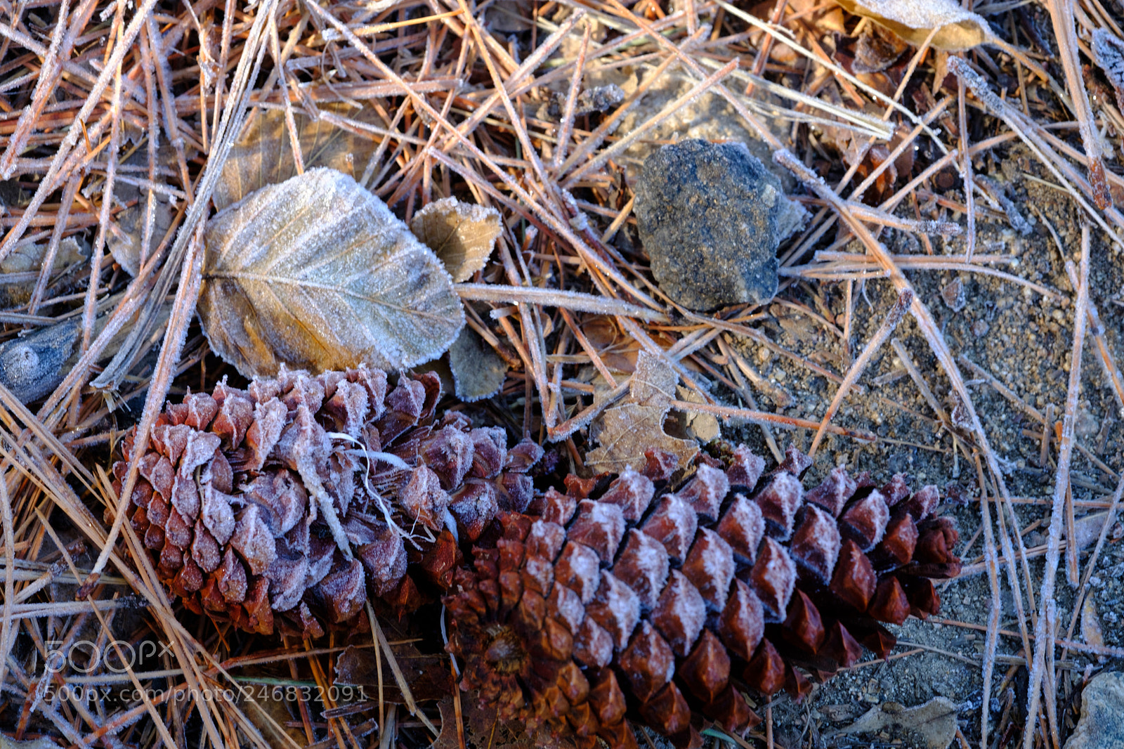 Fujifilm X-T2 sample photo. Lake gregory 9603 photography
