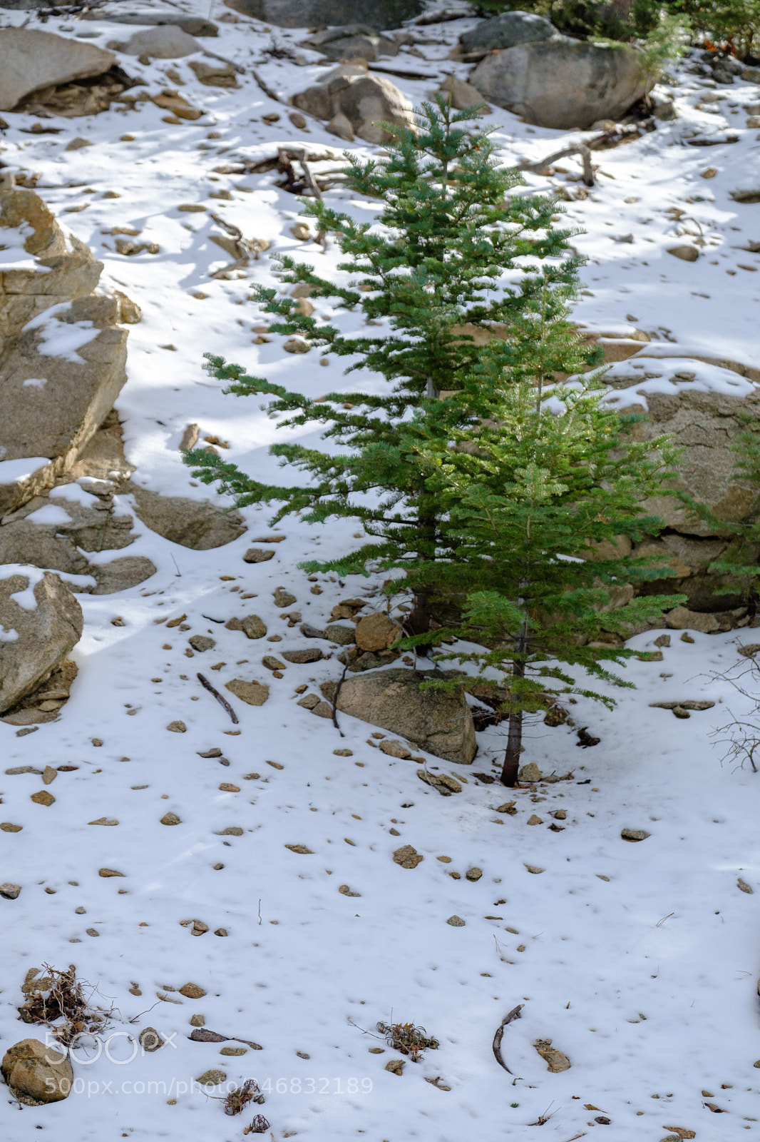 Fujifilm X-T2 sample photo. Lake gregory 9669 photography