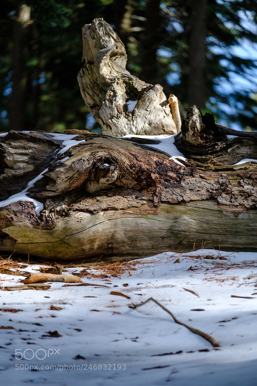 Fujifilm X-T2 sample photo. Lake gregory 9668 photography