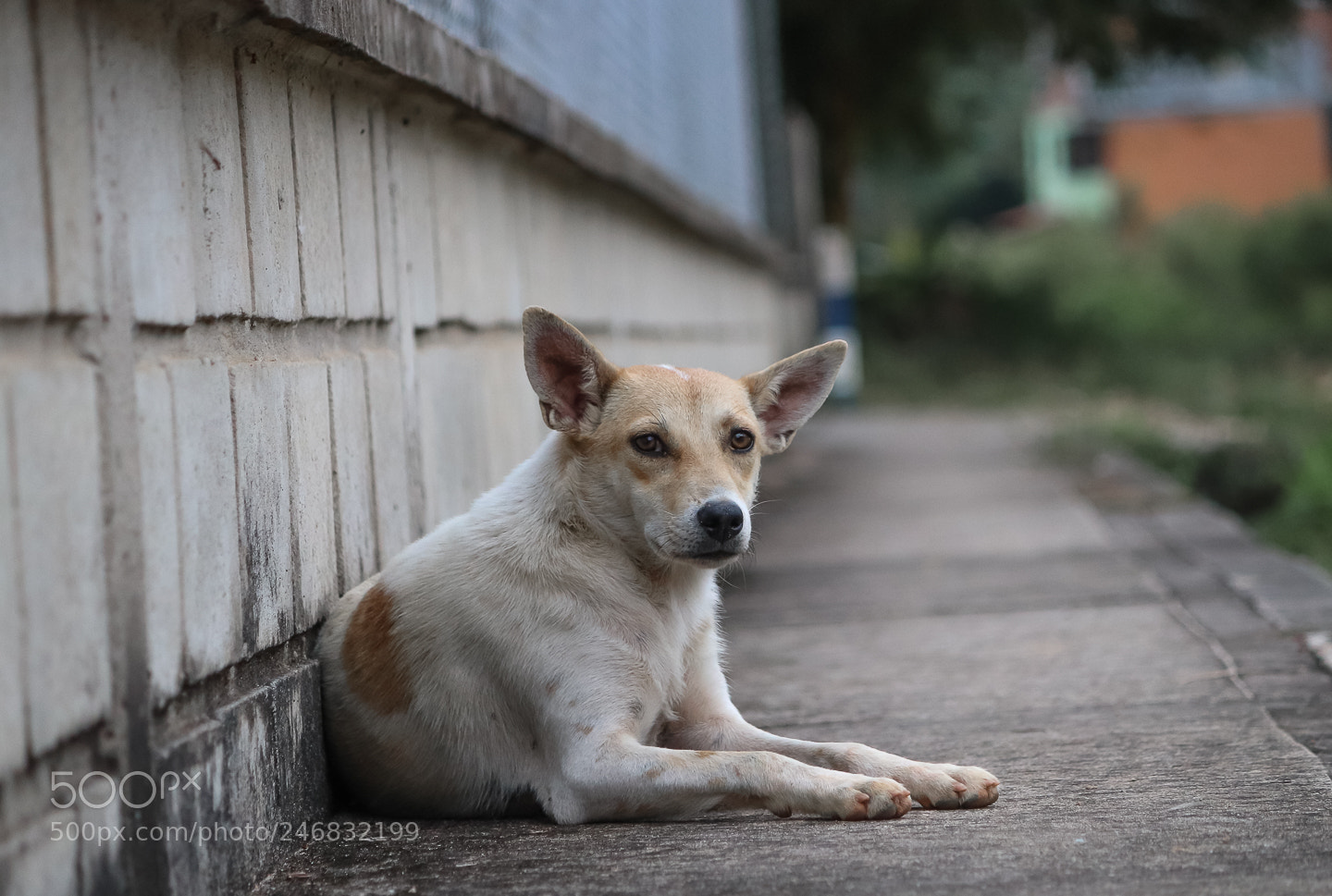 Canon EOS 800D (EOS Rebel T7i / EOS Kiss X9i) sample photo. Tranquilidad photography