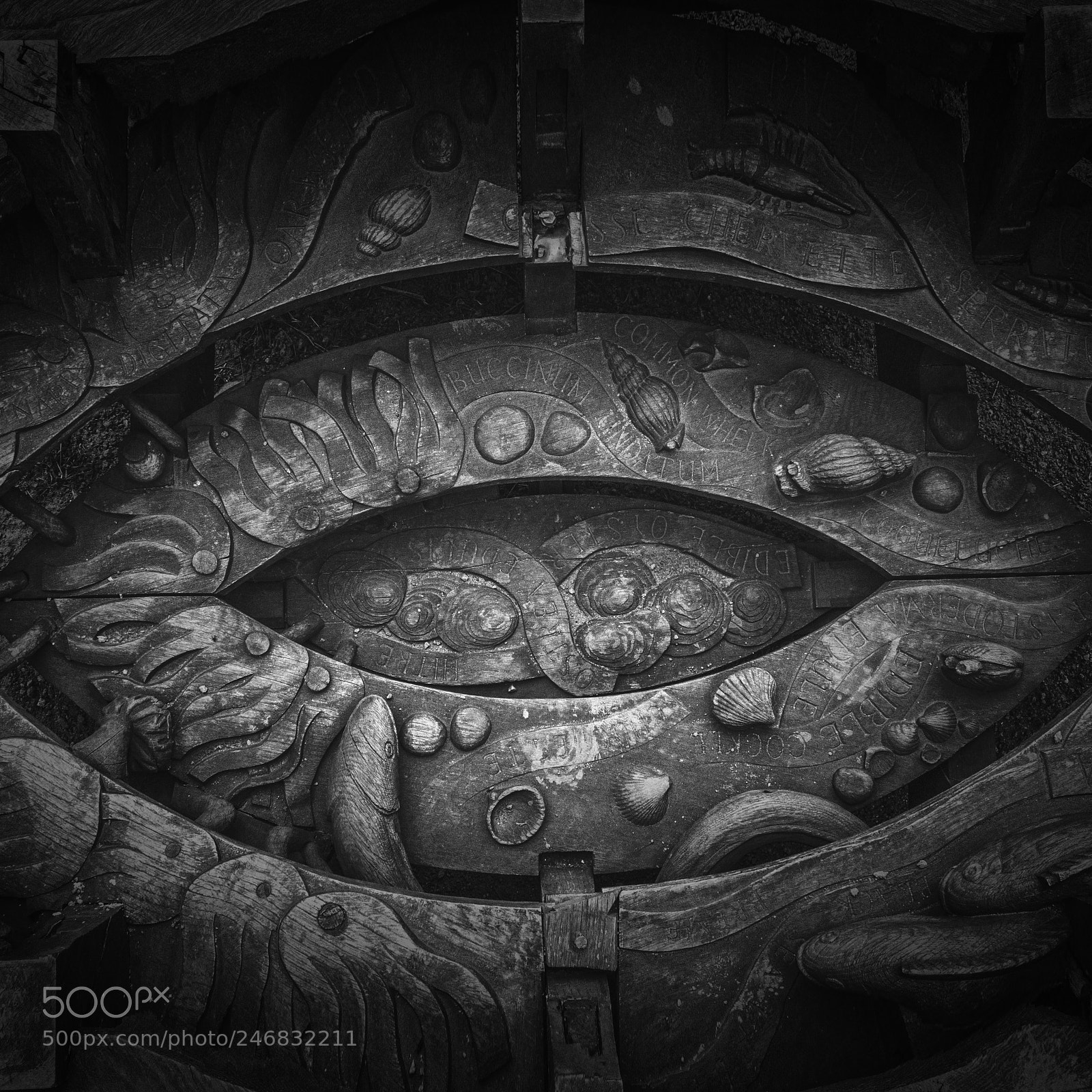 Sony a7 sample photo. Eye of the dragon photography