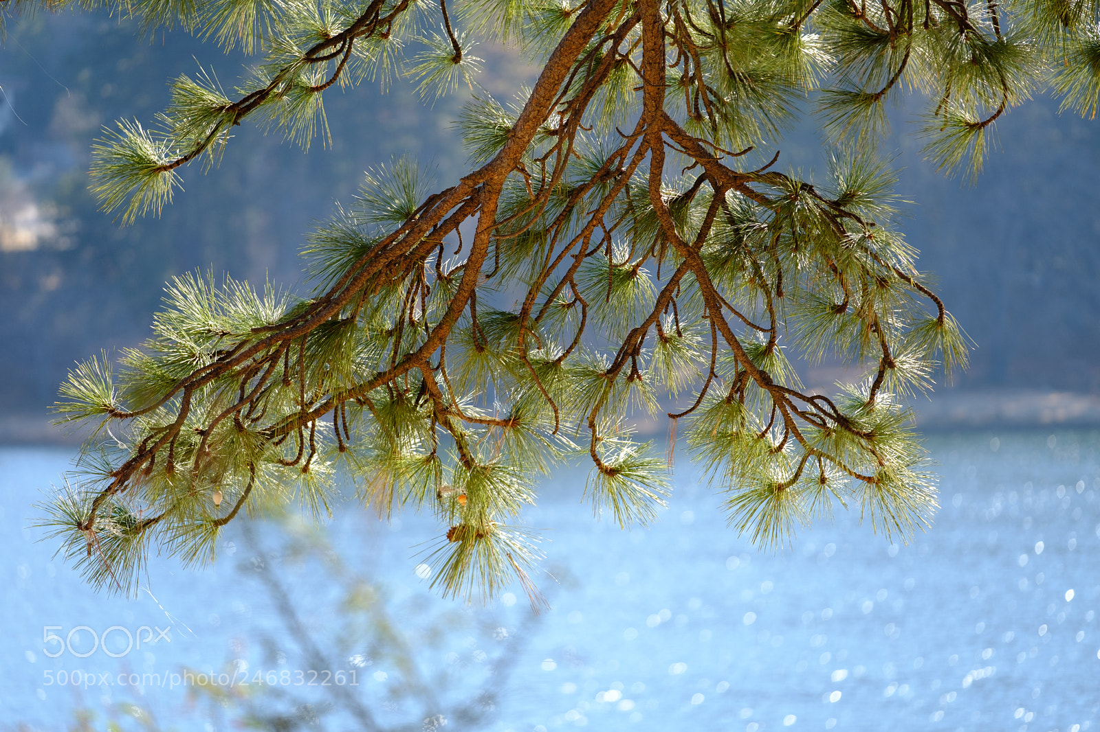 Fujifilm X-T2 sample photo. Lake gregory 9746 photography