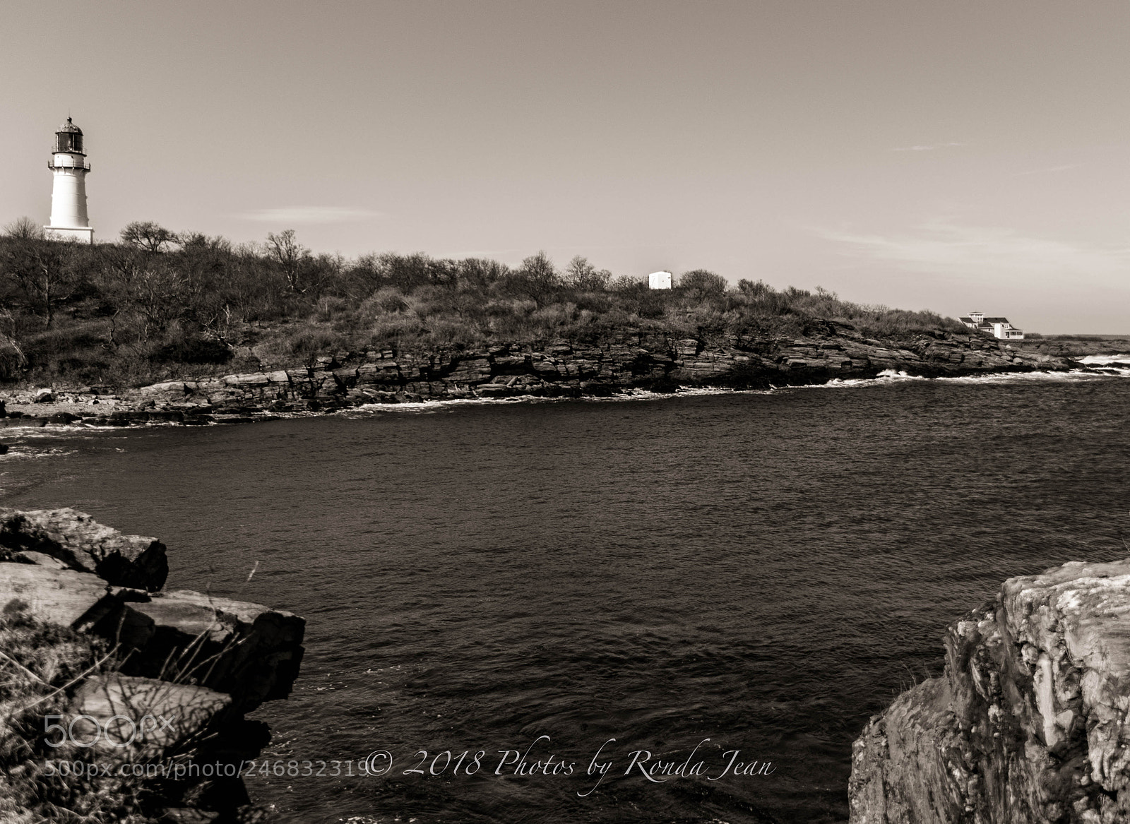 Nikon D500 sample photo. Untitled photography