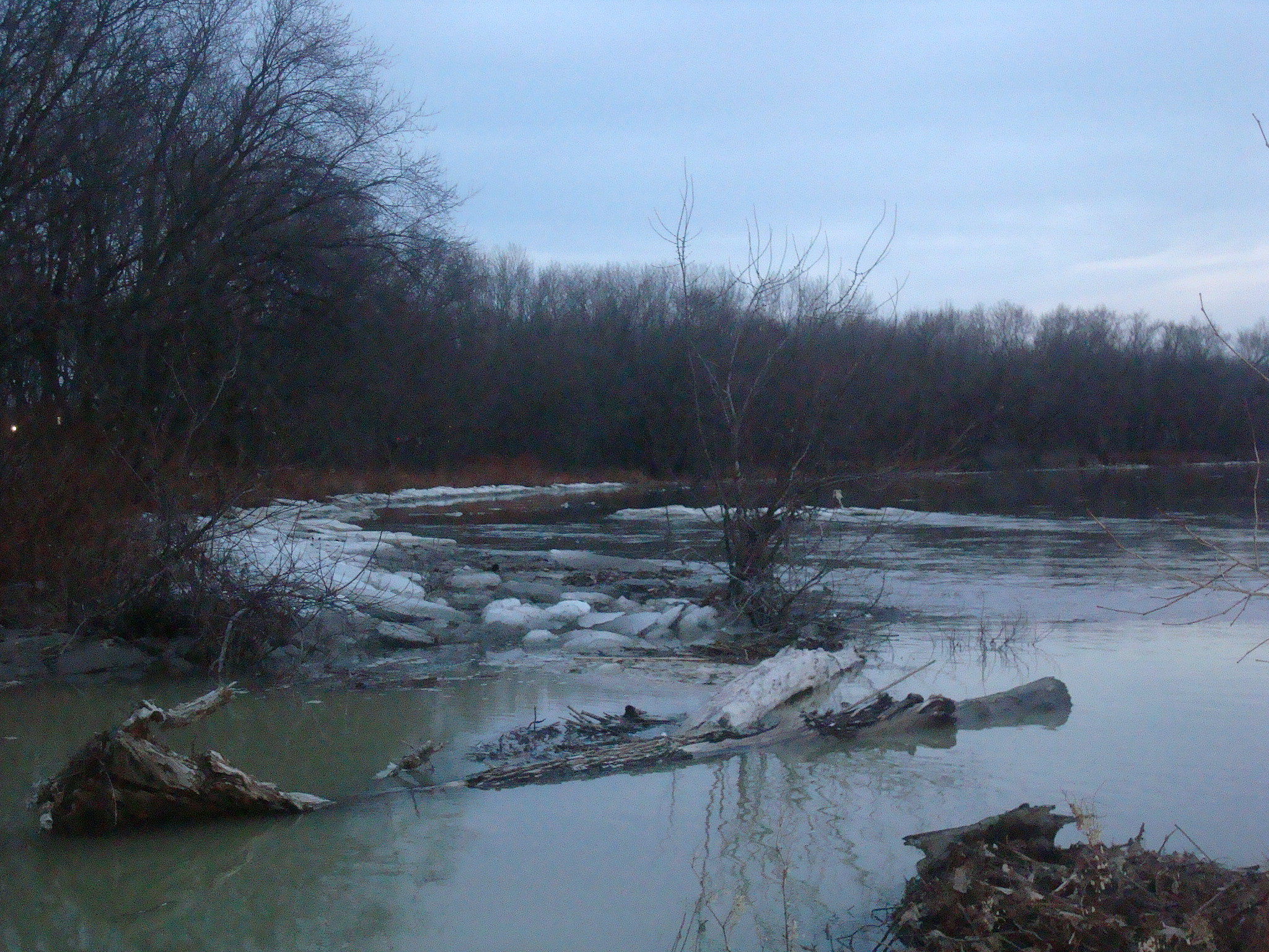 Sony DSC-W90 sample photo. Floating log.jpg photography