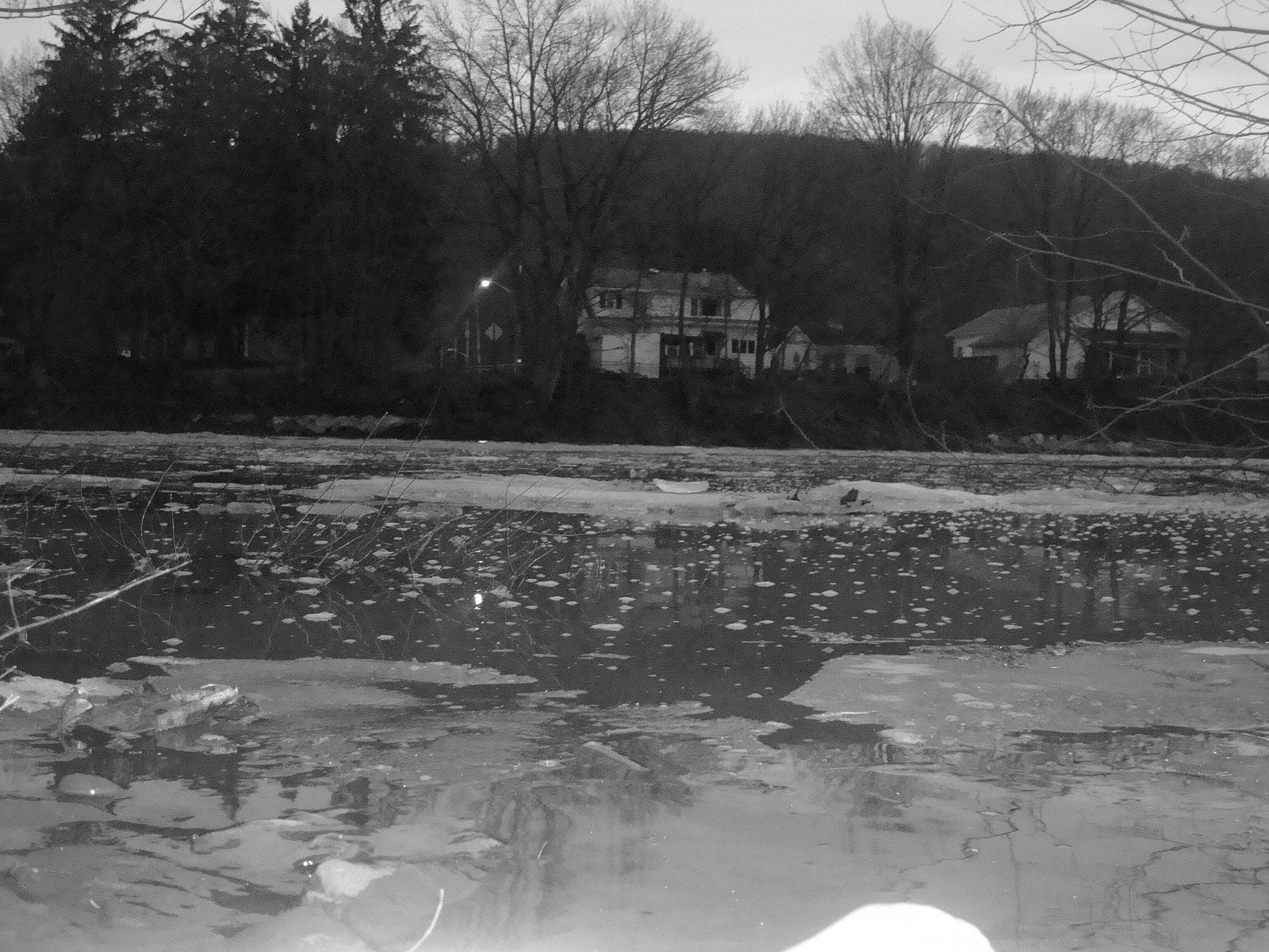 Sony DSC-W90 sample photo. Ground view river.jpg photography