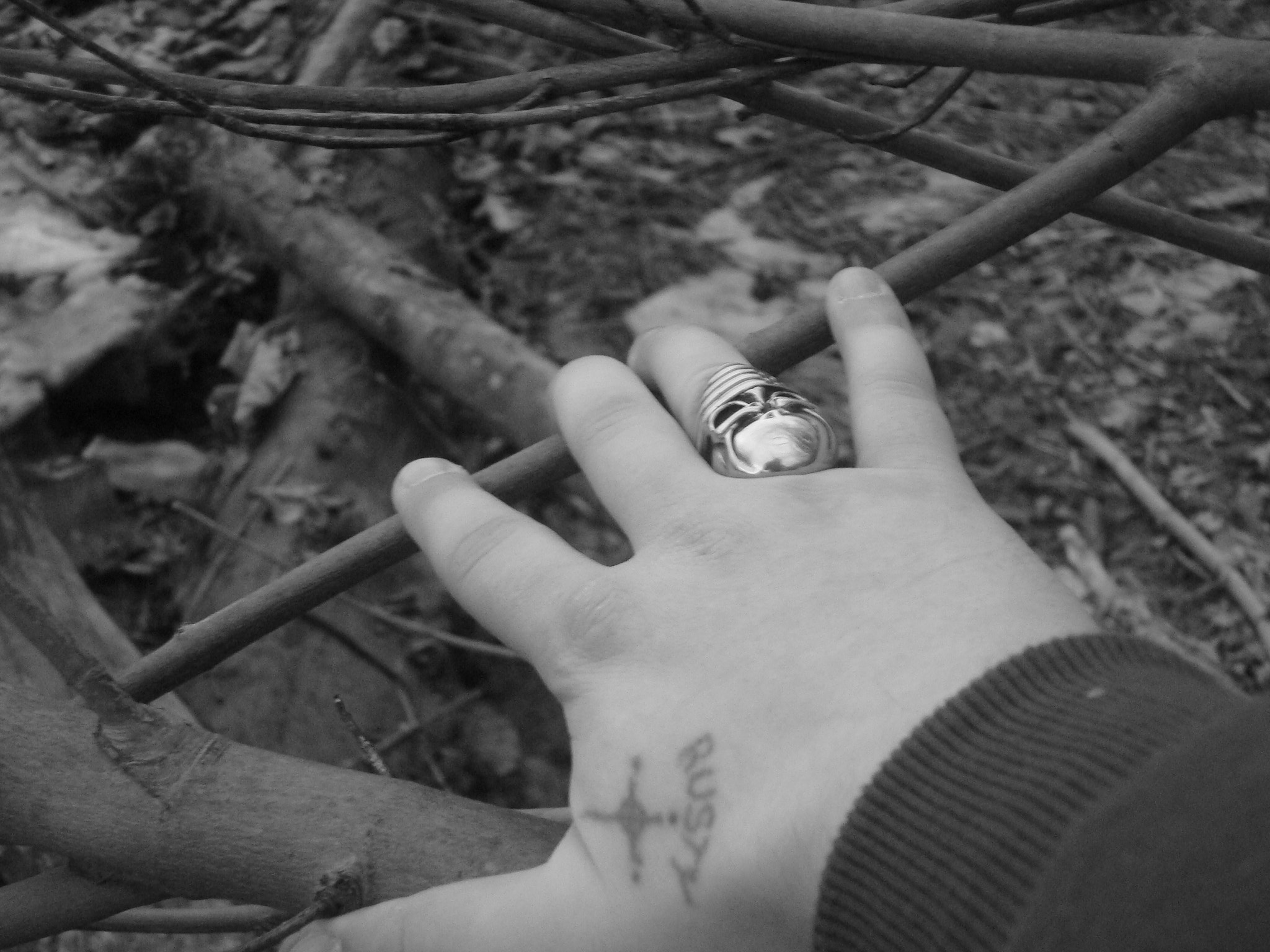 Sony DSC-W90 sample photo. Hand with skull ring.jpg photography