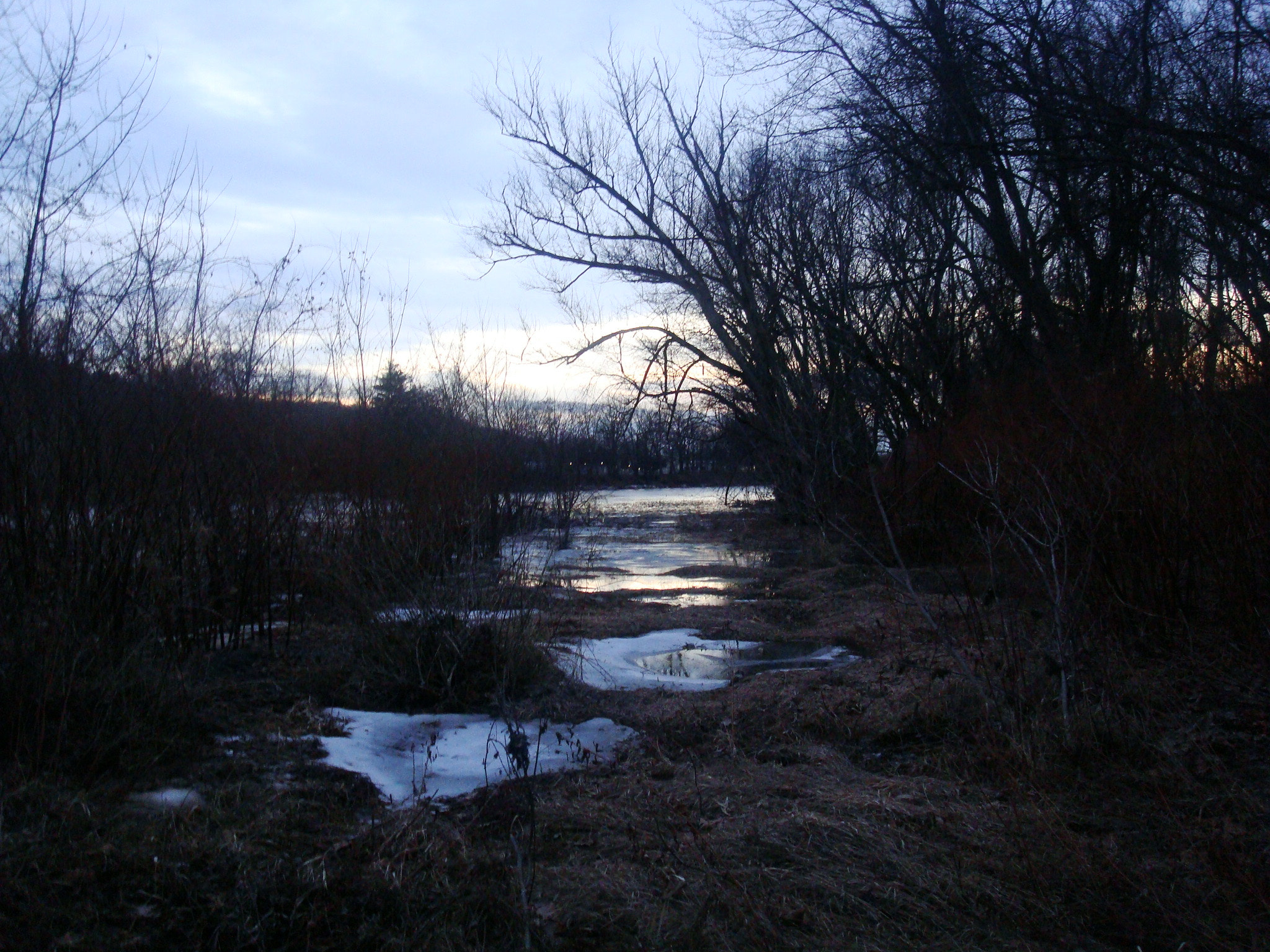 Sony DSC-W90 sample photo. Path to river.jpg photography