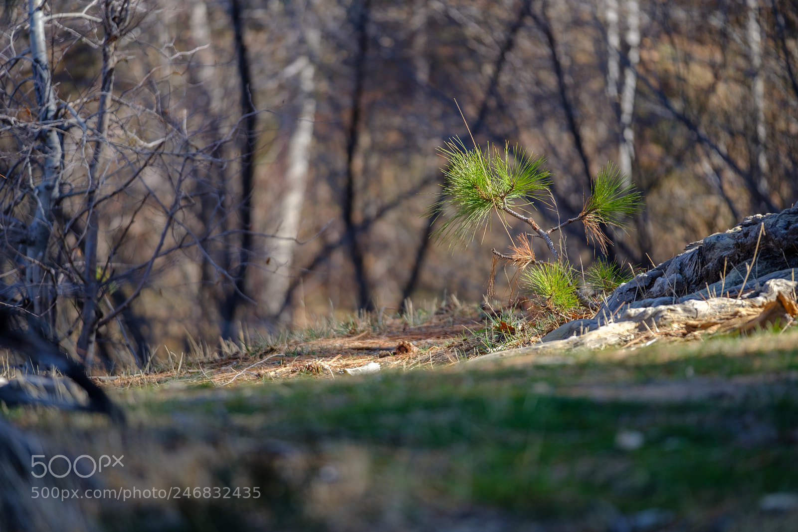 Fujifilm X-T2 sample photo. Lake gregory 9800 photography