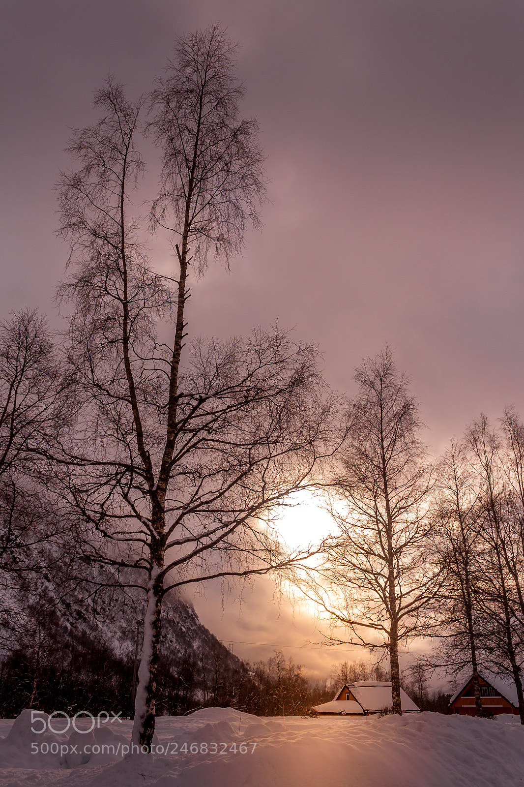 Canon EOS 450D (EOS Rebel XSi / EOS Kiss X2) sample photo. Norway winter photography