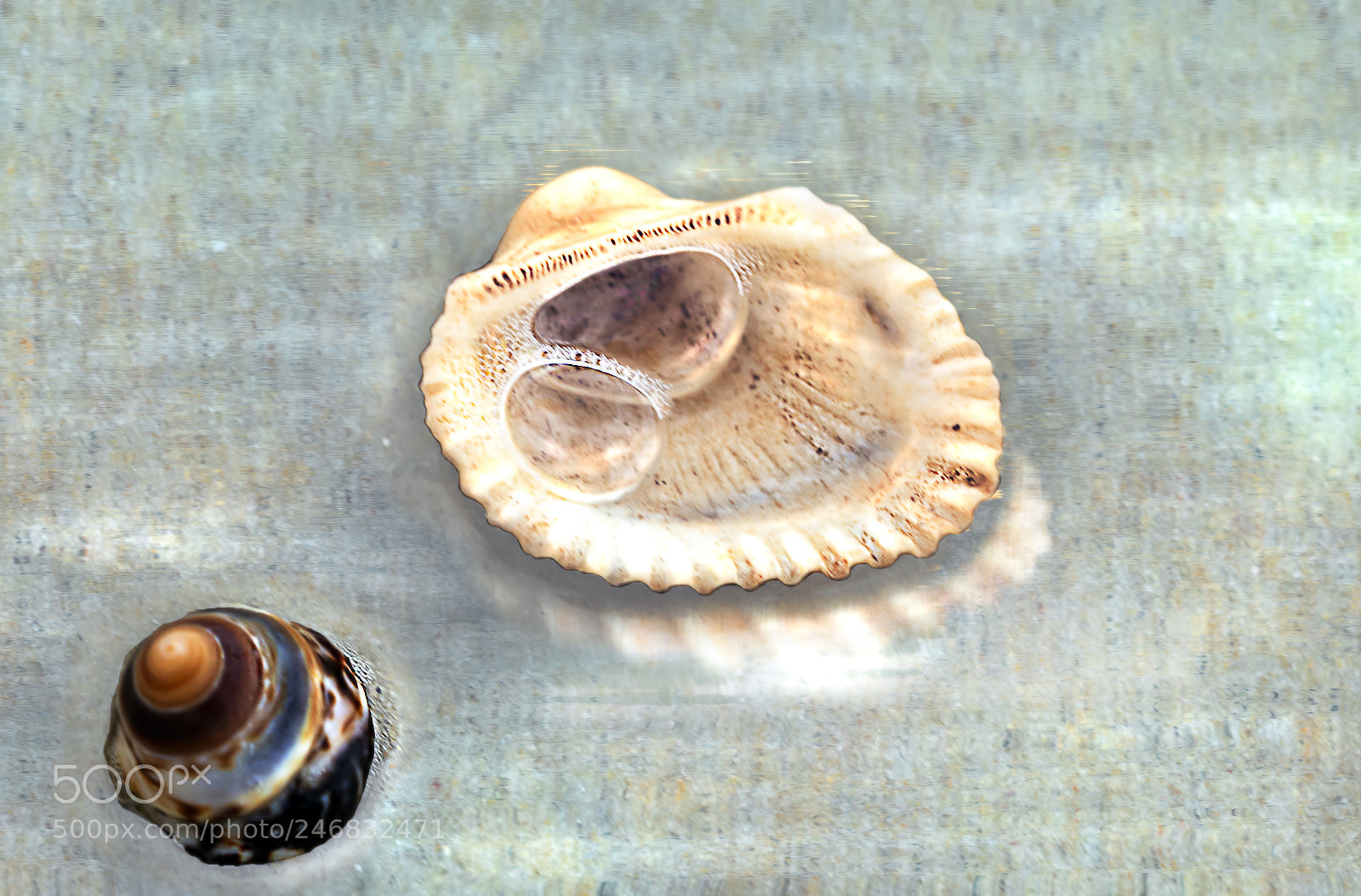 Canon EOS 6D Mark II sample photo. Seahells and bubbles photography