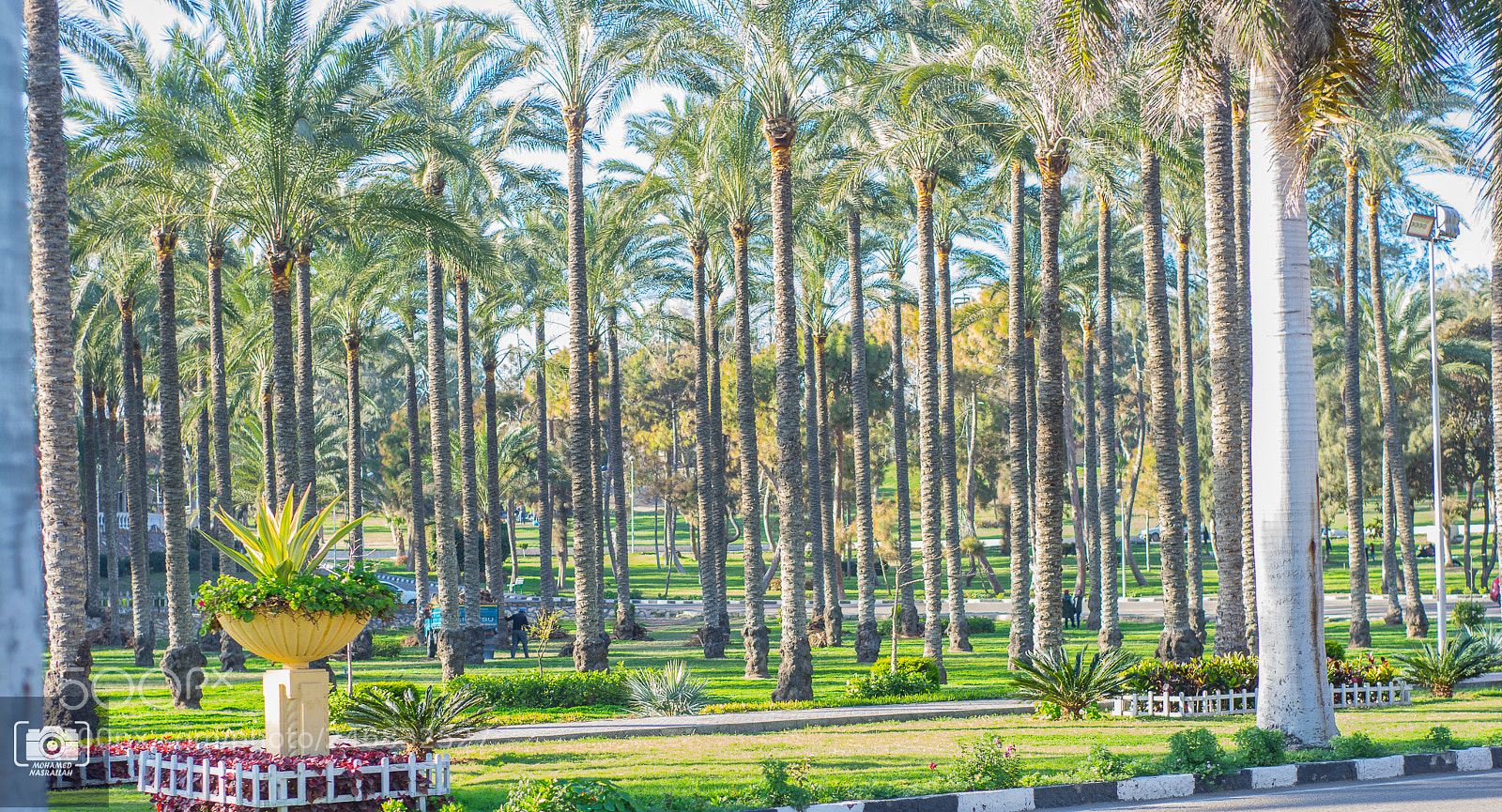 Nikon D7100 sample photo. Nature photography