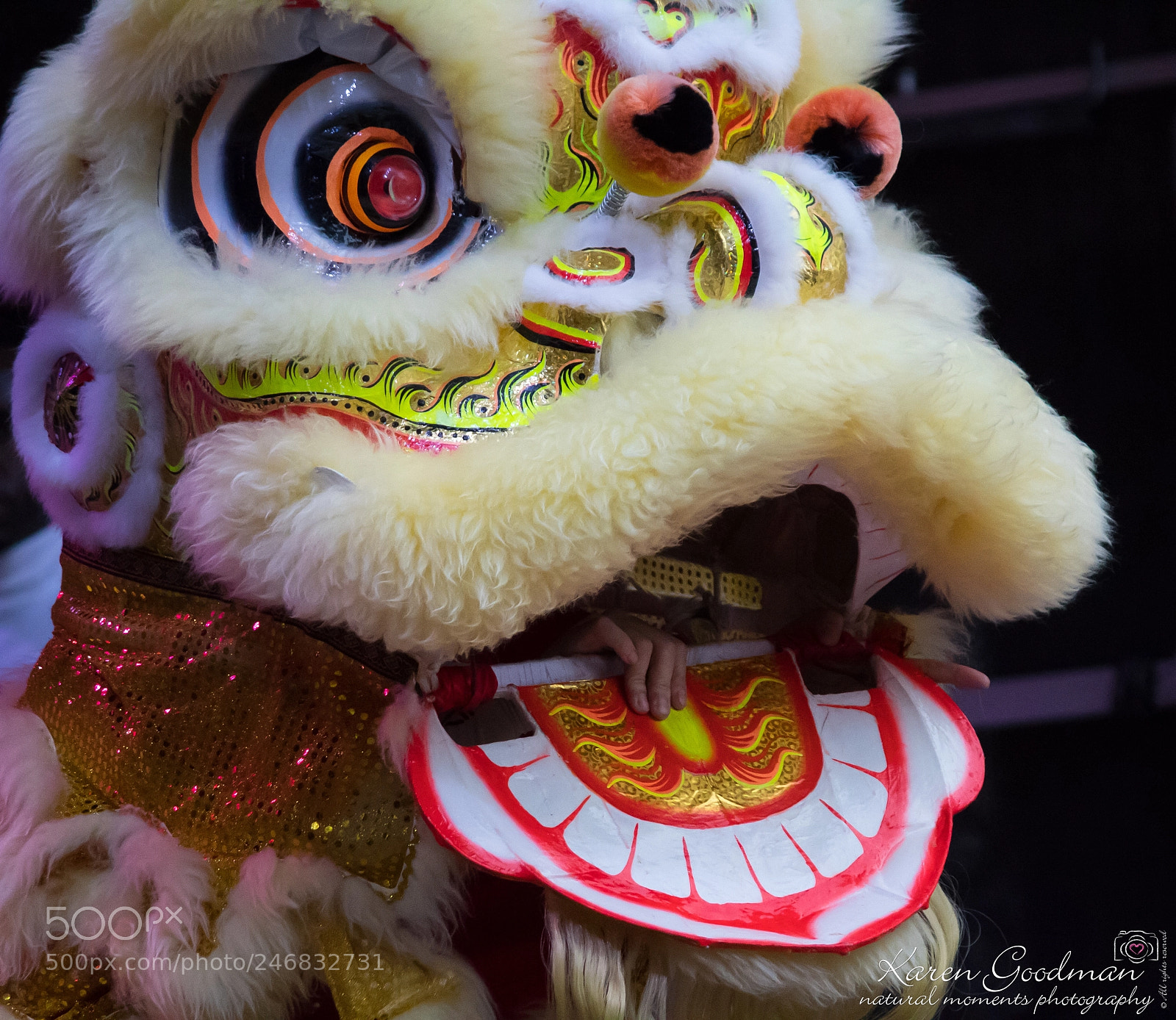 Canon EOS 1300D (EOS Rebel T6 / EOS Kiss X80) sample photo. Chinese new year 2018 photography