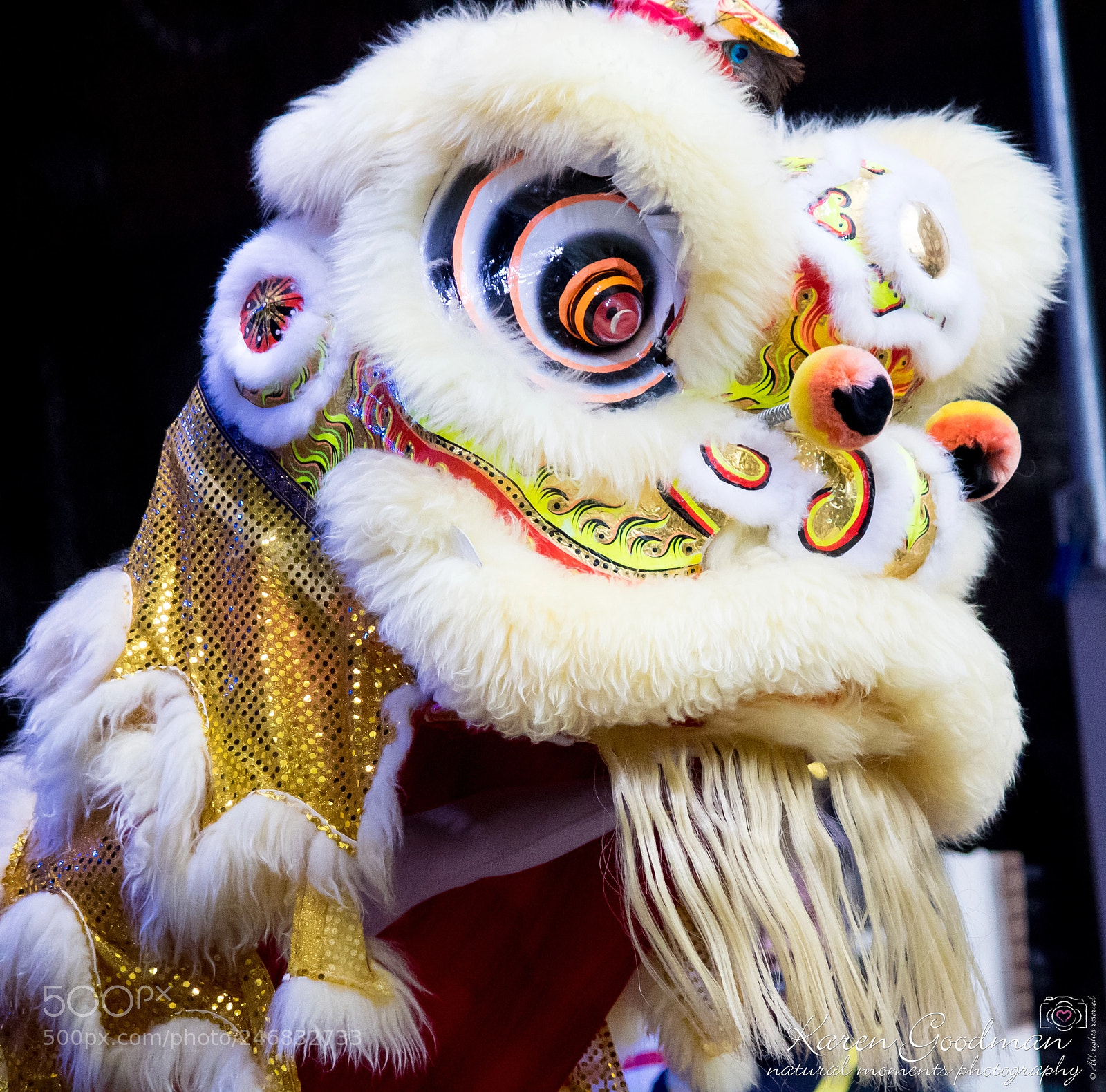Canon EOS 1300D (EOS Rebel T6 / EOS Kiss X80) sample photo. Chinese new year 2018 photography