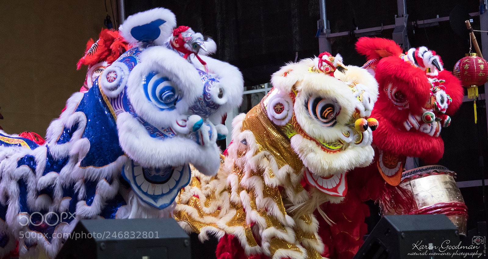 Canon EOS 1300D (EOS Rebel T6 / EOS Kiss X80) sample photo. Chinese new year 2018 photography