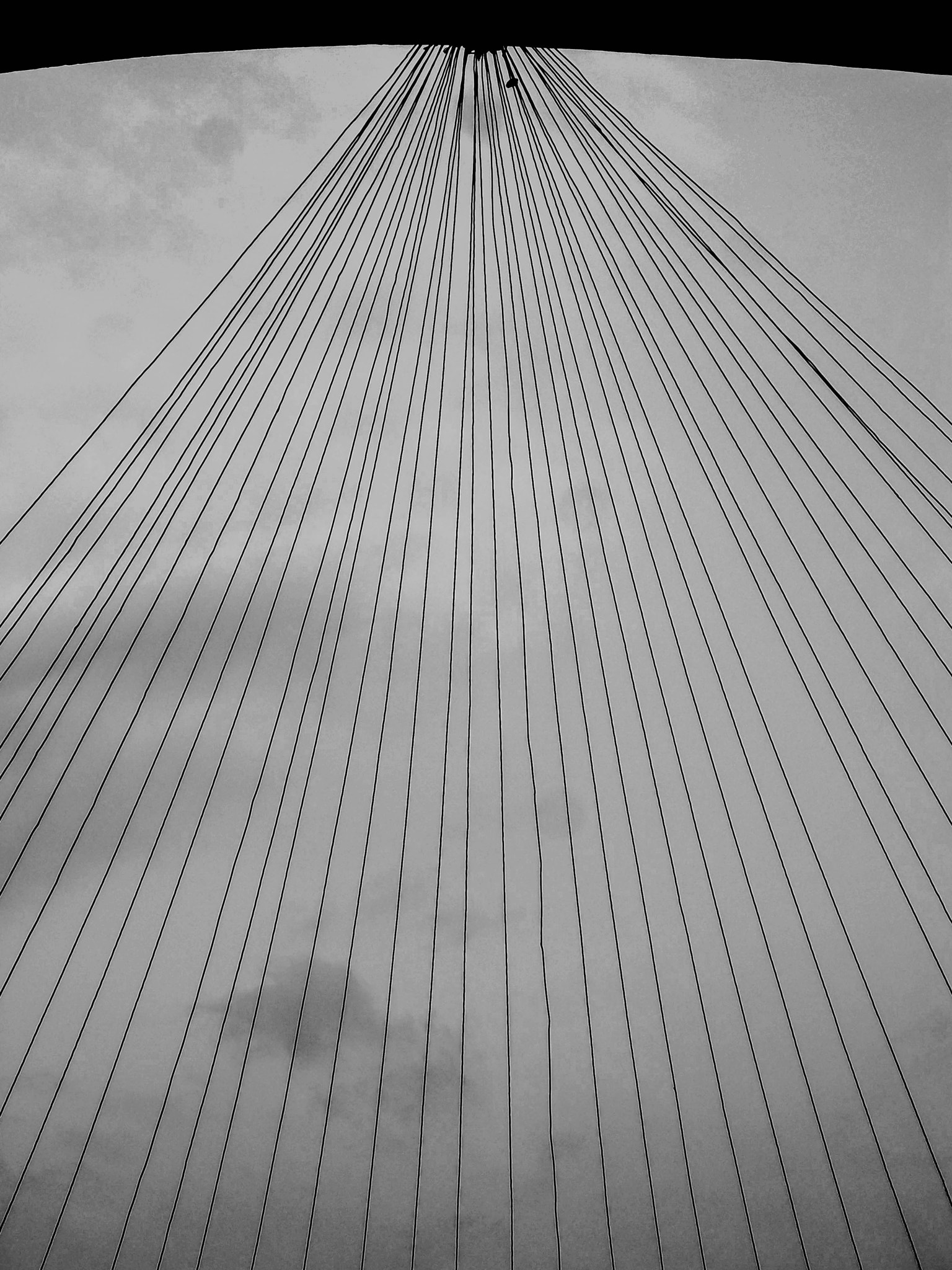 Kodak EasyShare M550 sample photo. Convergence.... photography