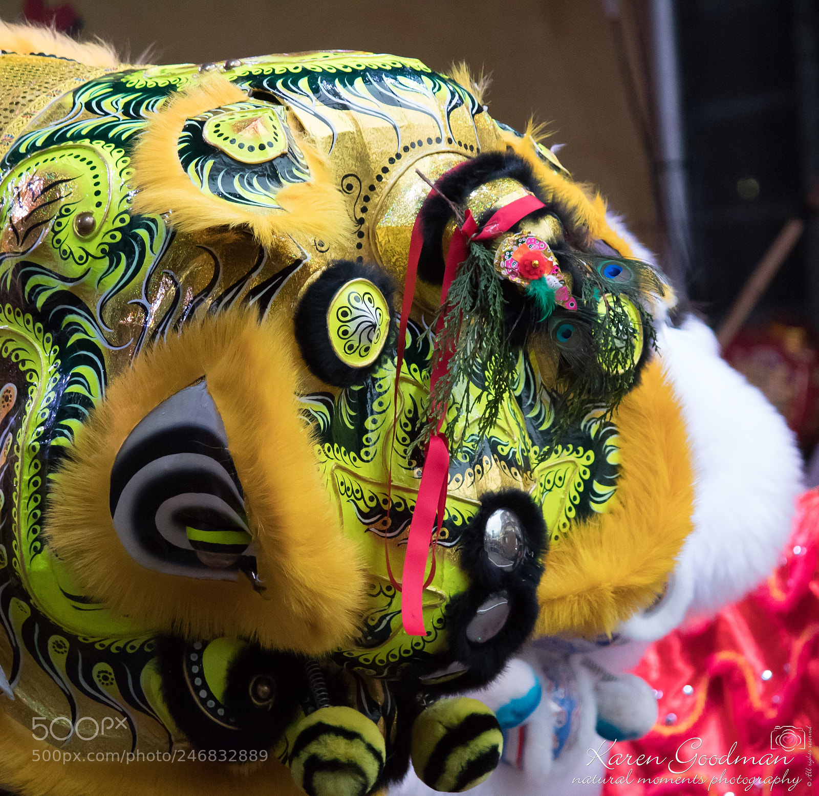 Canon EOS 1300D (EOS Rebel T6 / EOS Kiss X80) sample photo. Chinese new year 2018 photography