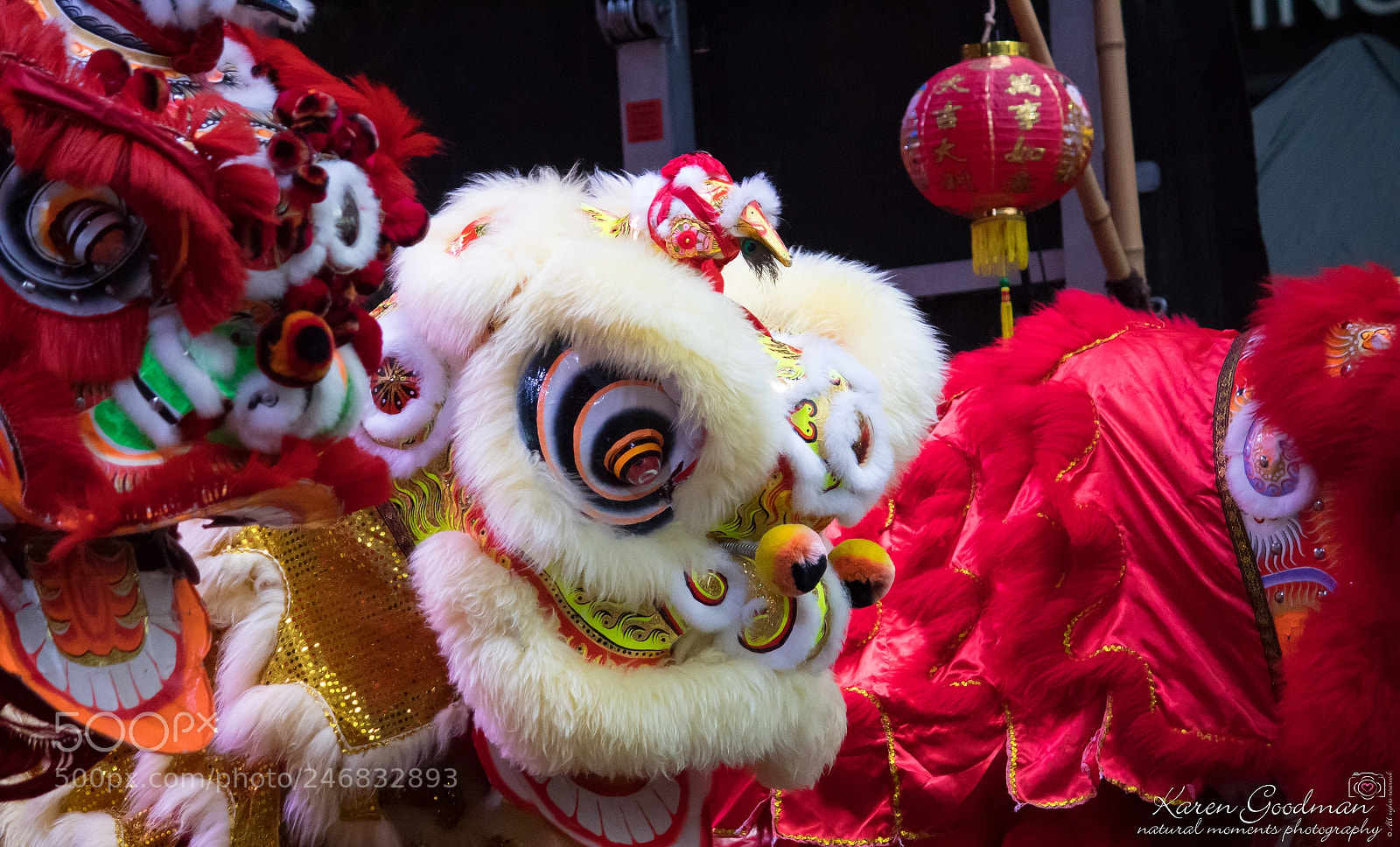 Canon EOS 1300D (EOS Rebel T6 / EOS Kiss X80) sample photo. Chinese new year 2018 photography