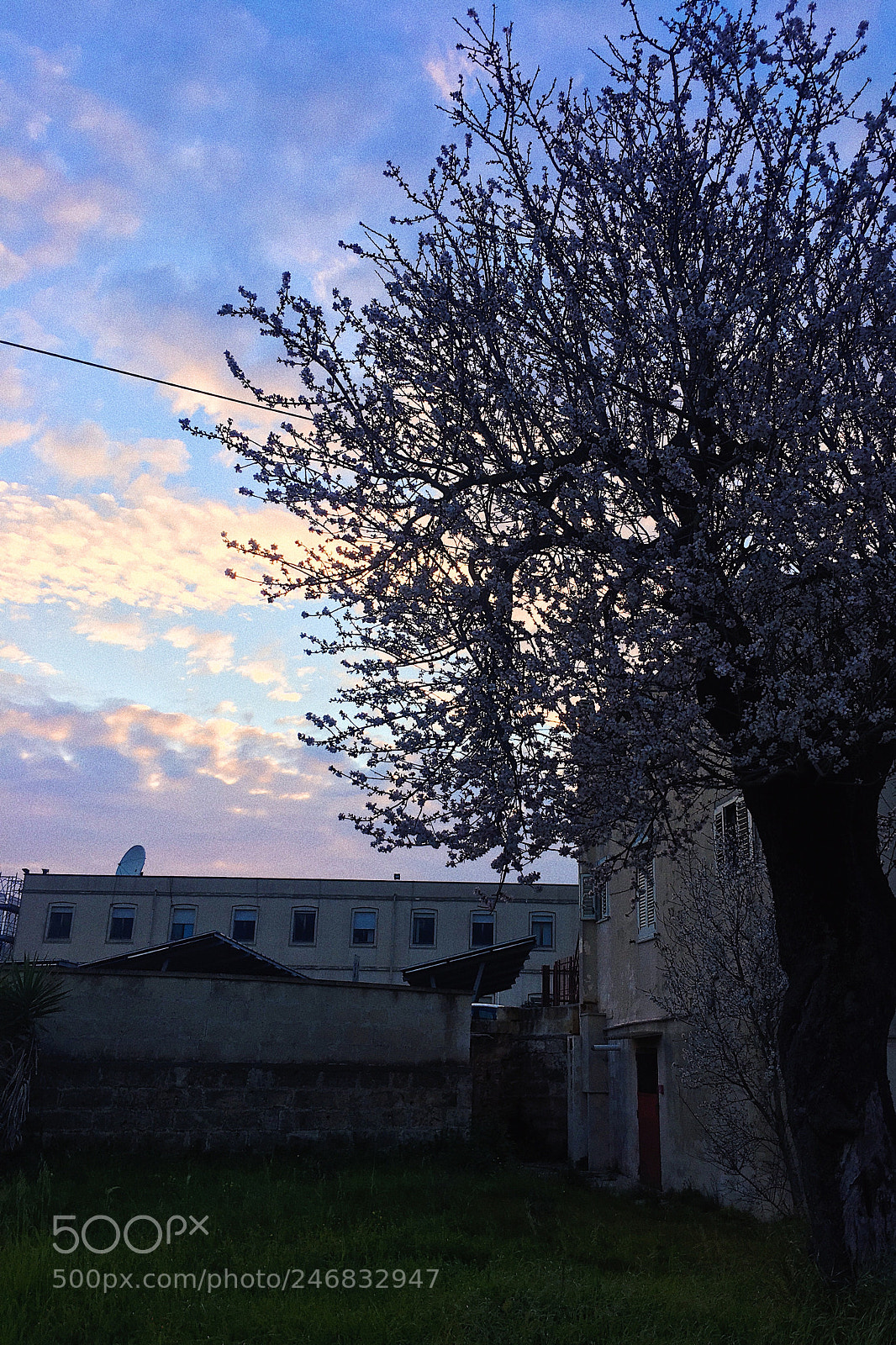 Apple iPhone 6s Plus sample photo. Untitled photography