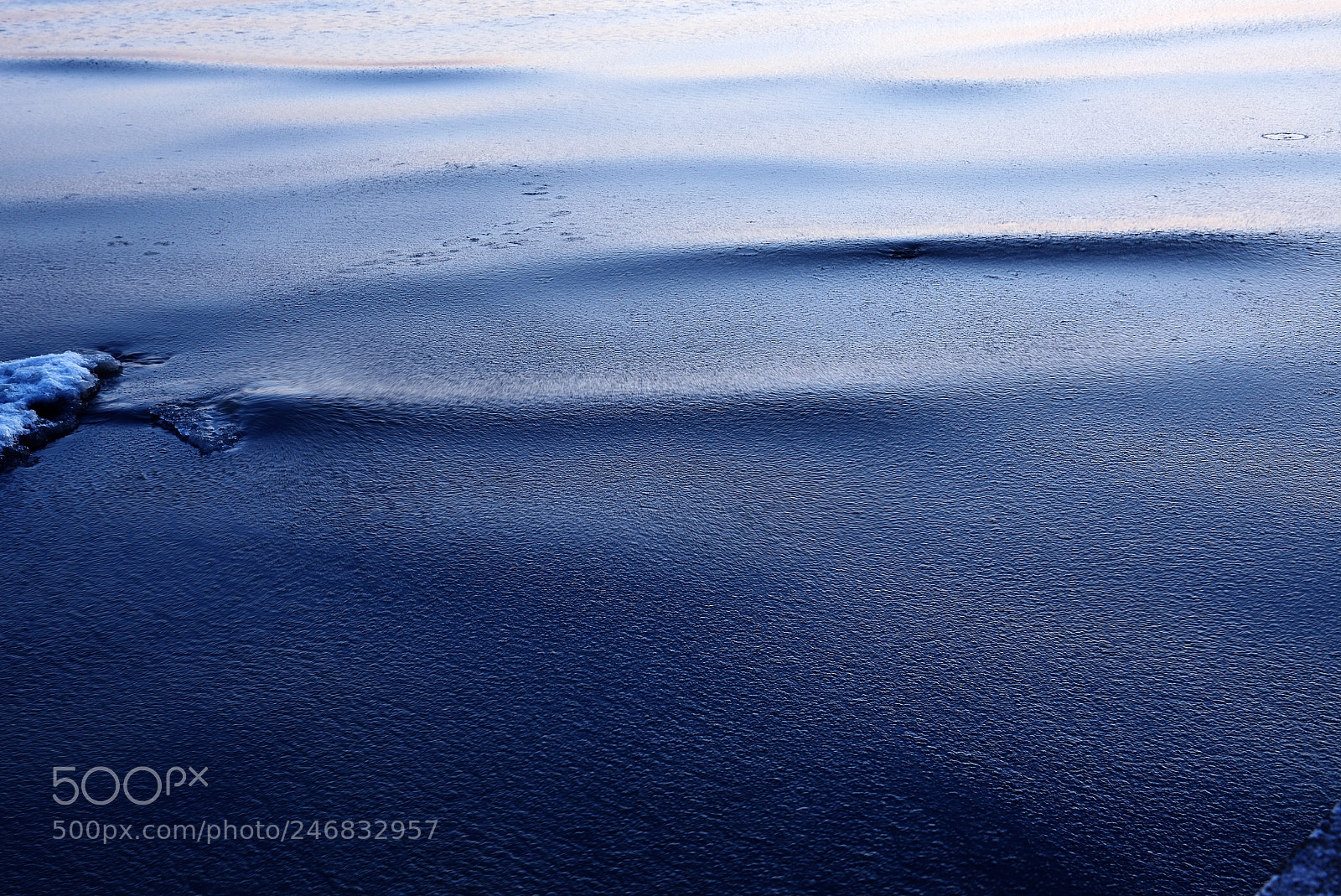 Nikon D810 sample photo. Winter. photography