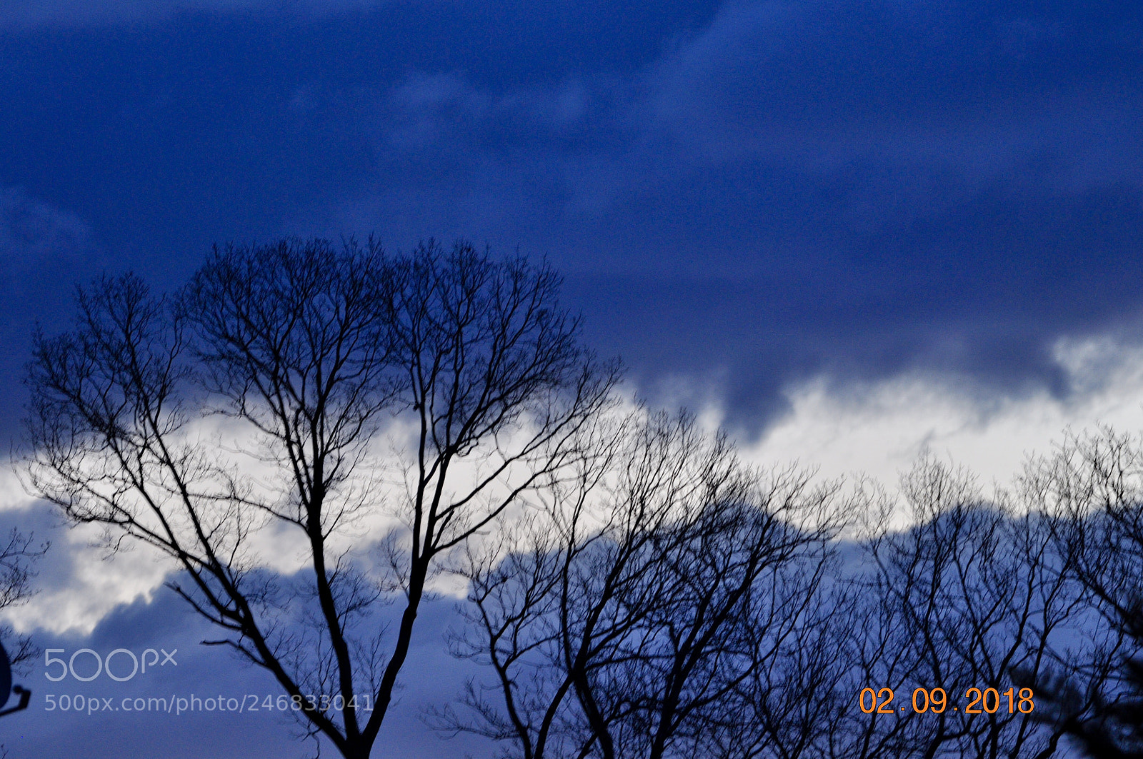 Nikon D5000 sample photo. A quite early morning photography