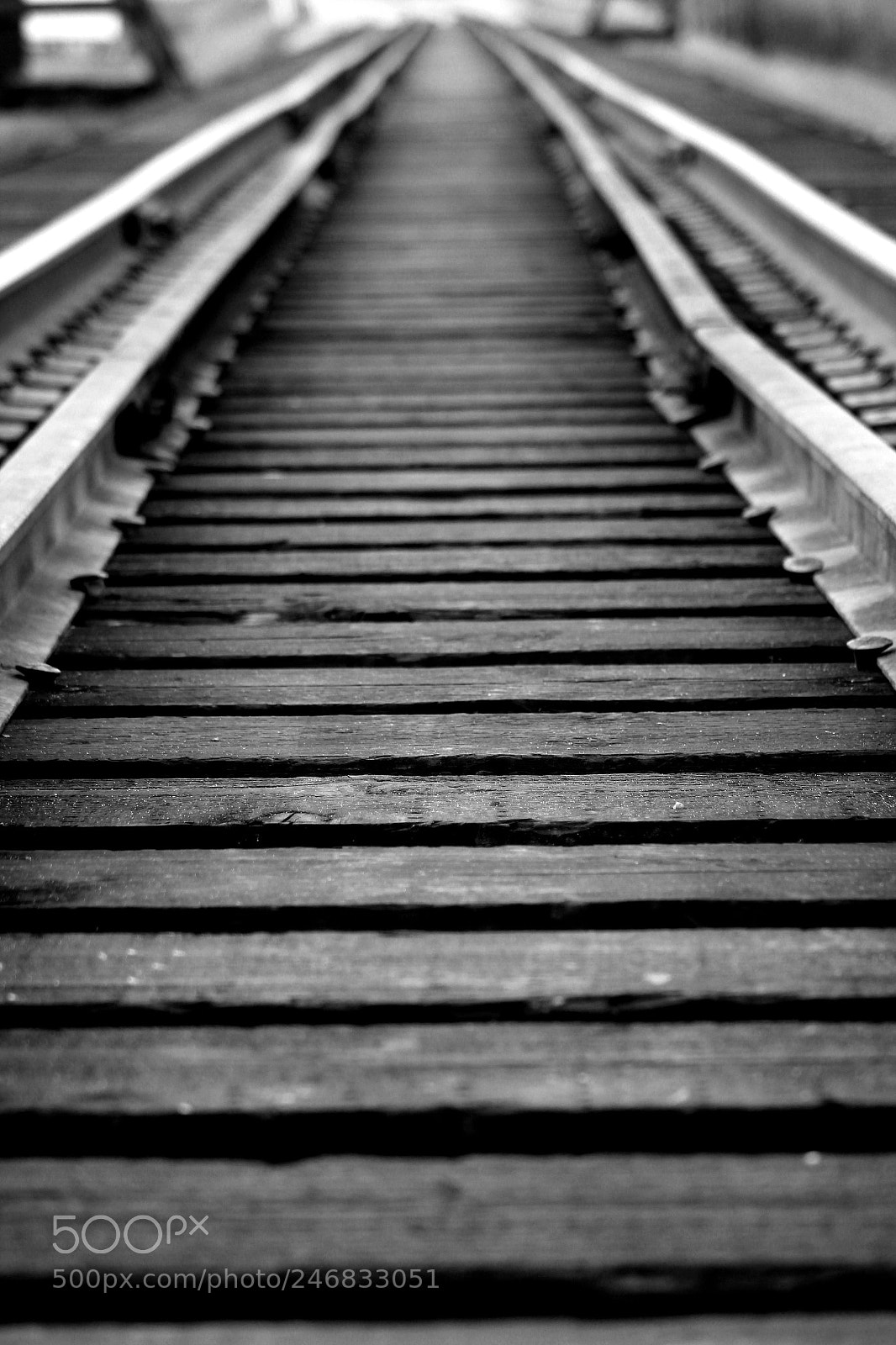 Canon EOS 550D (EOS Rebel T2i / EOS Kiss X4) sample photo. Lonely road photography