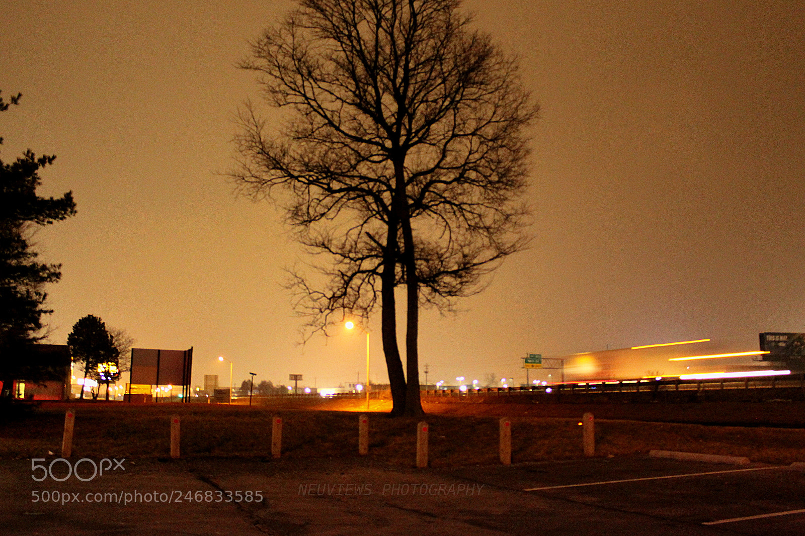 Canon EF-S 18-55mm F3.5-5.6 III sample photo. Nebtreenp photography