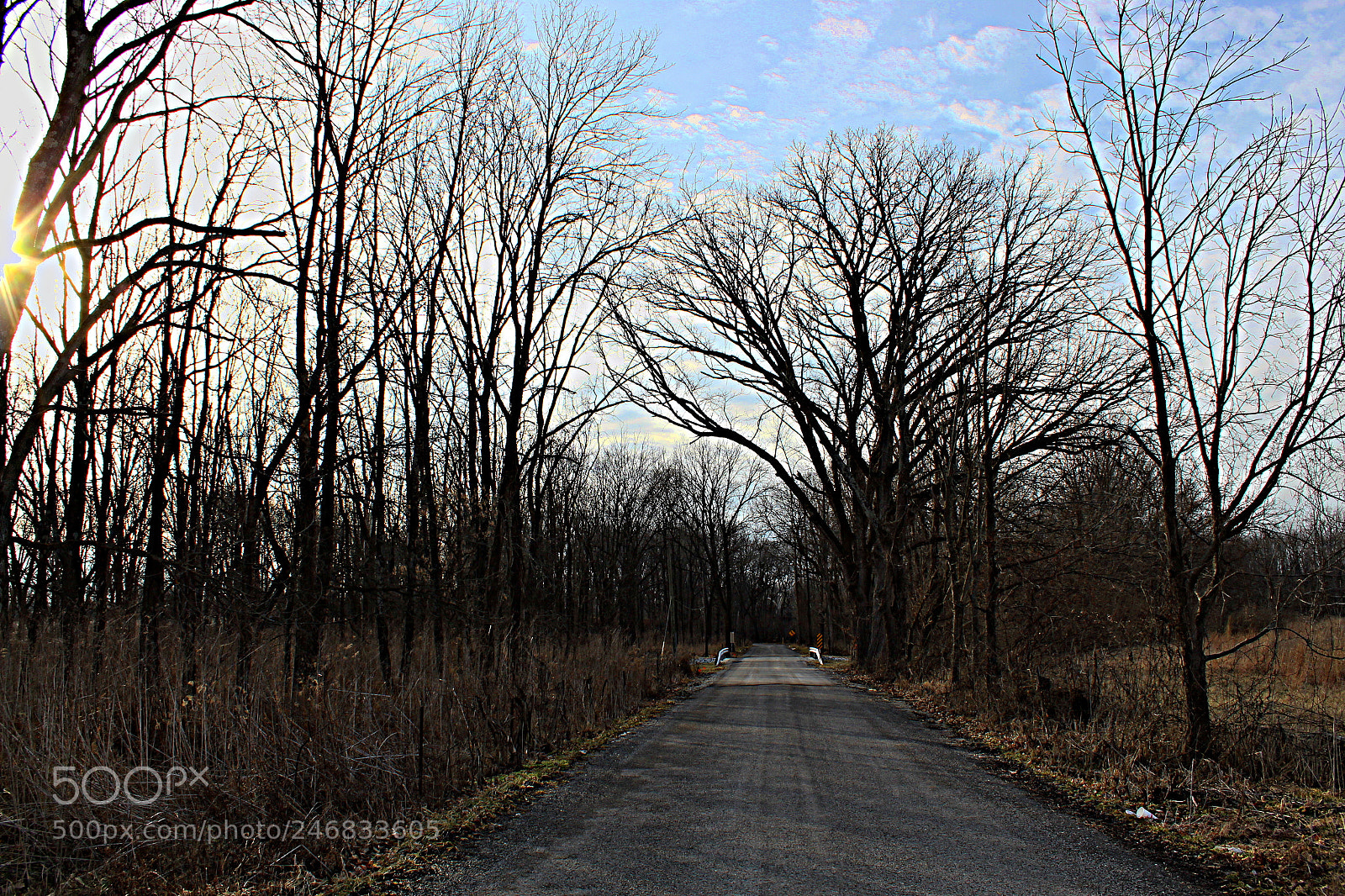 Canon EF-S 18-55mm F3.5-5.6 III sample photo. Woods photography