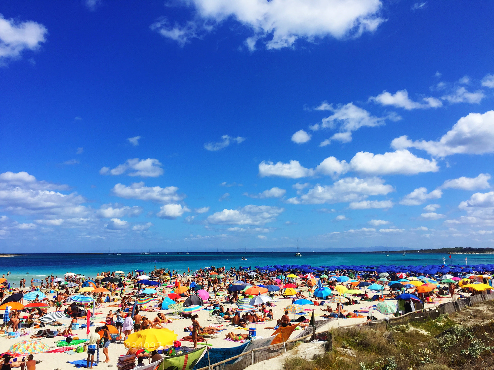 Apple iPhone 6 sample photo. Parasols photography